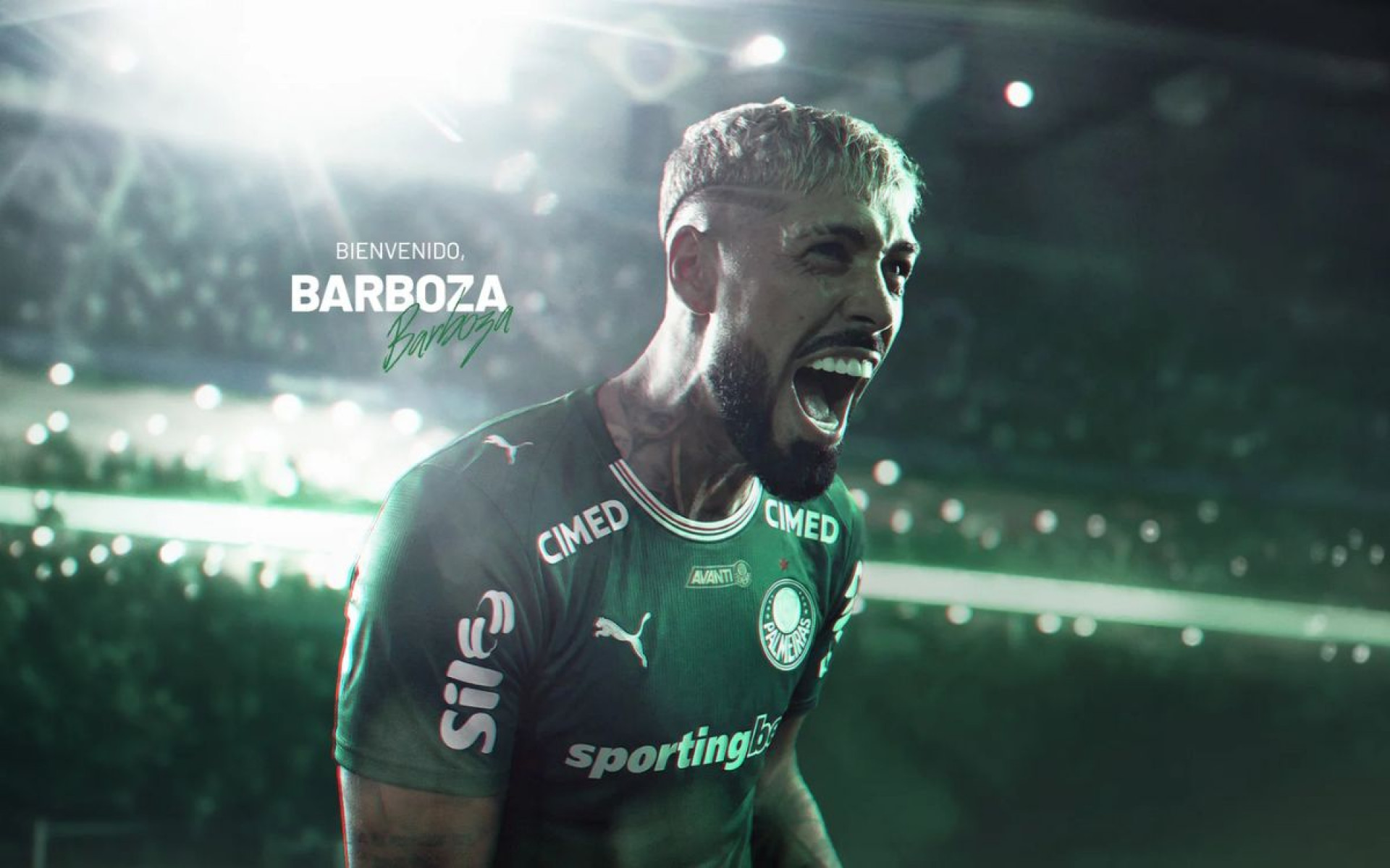 Palmeiras anuncia contratação de Alexander Barboza, ex-Botafogo