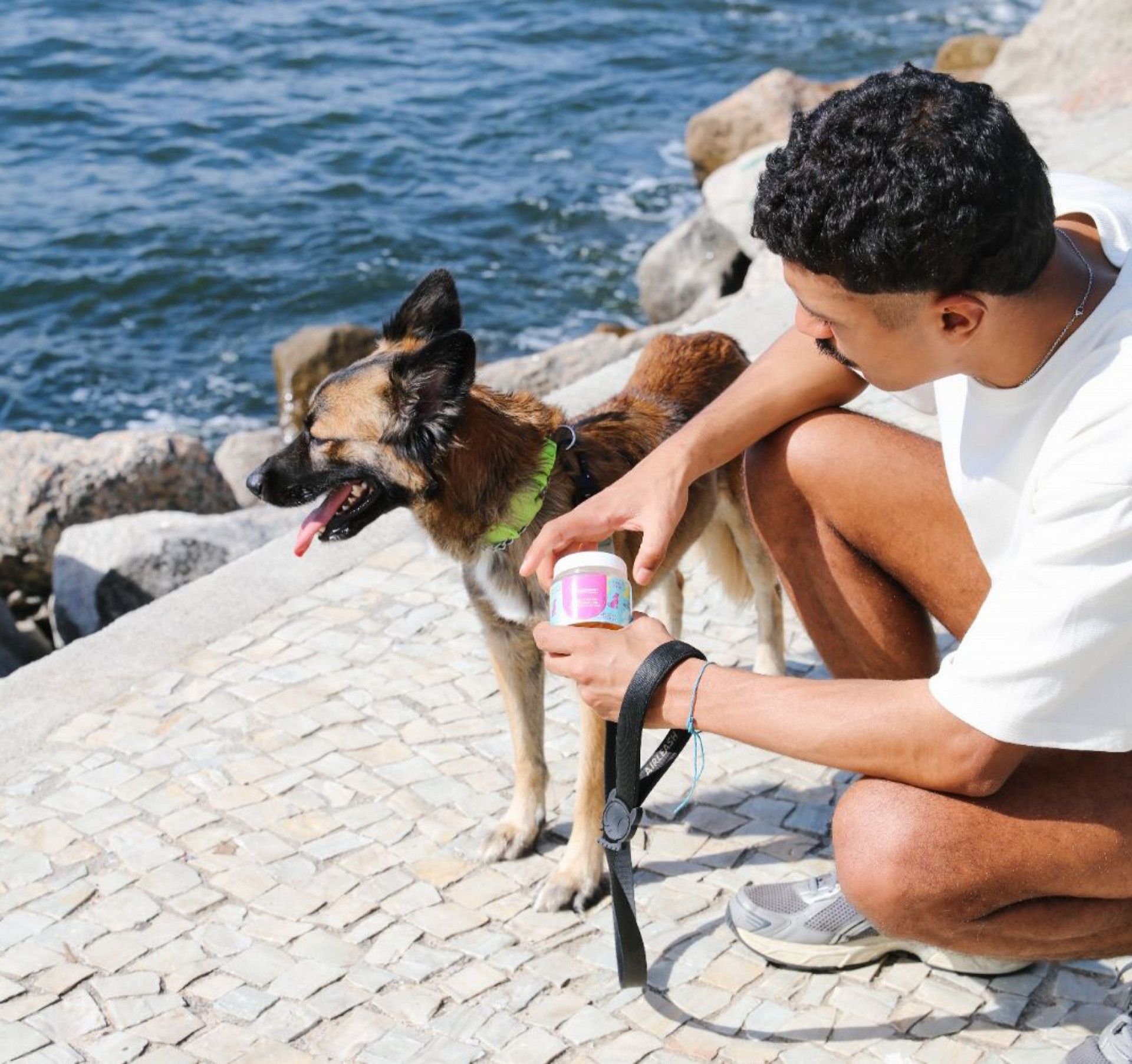 Idade, raça, rotina, alimentação e histórico clínico são os fatores que definem se um pet precisa de suplementação e de qual tipo - Freepik