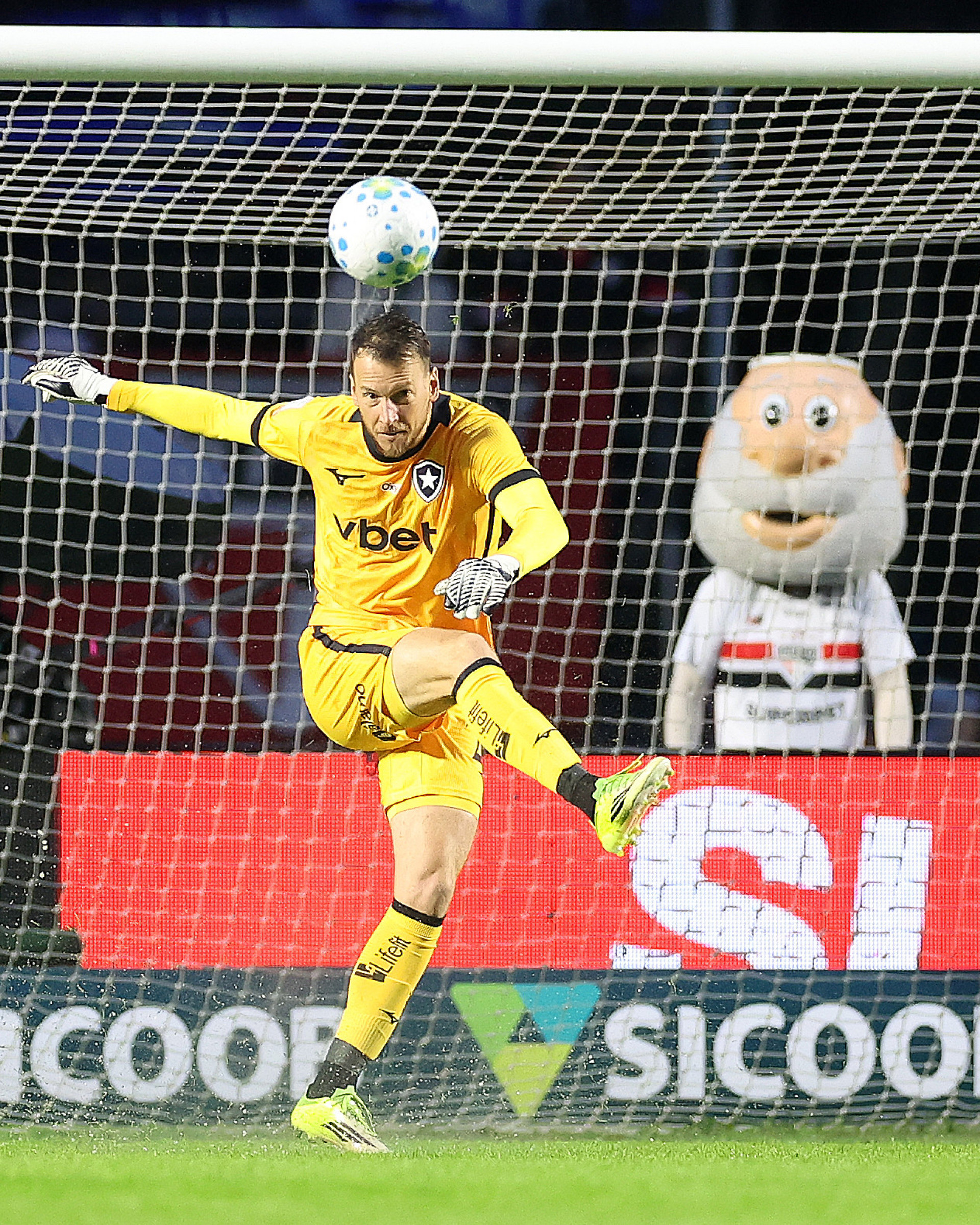 Goleiro Neto em ação pelo Botafogo - Vítor Silva / Botafogo