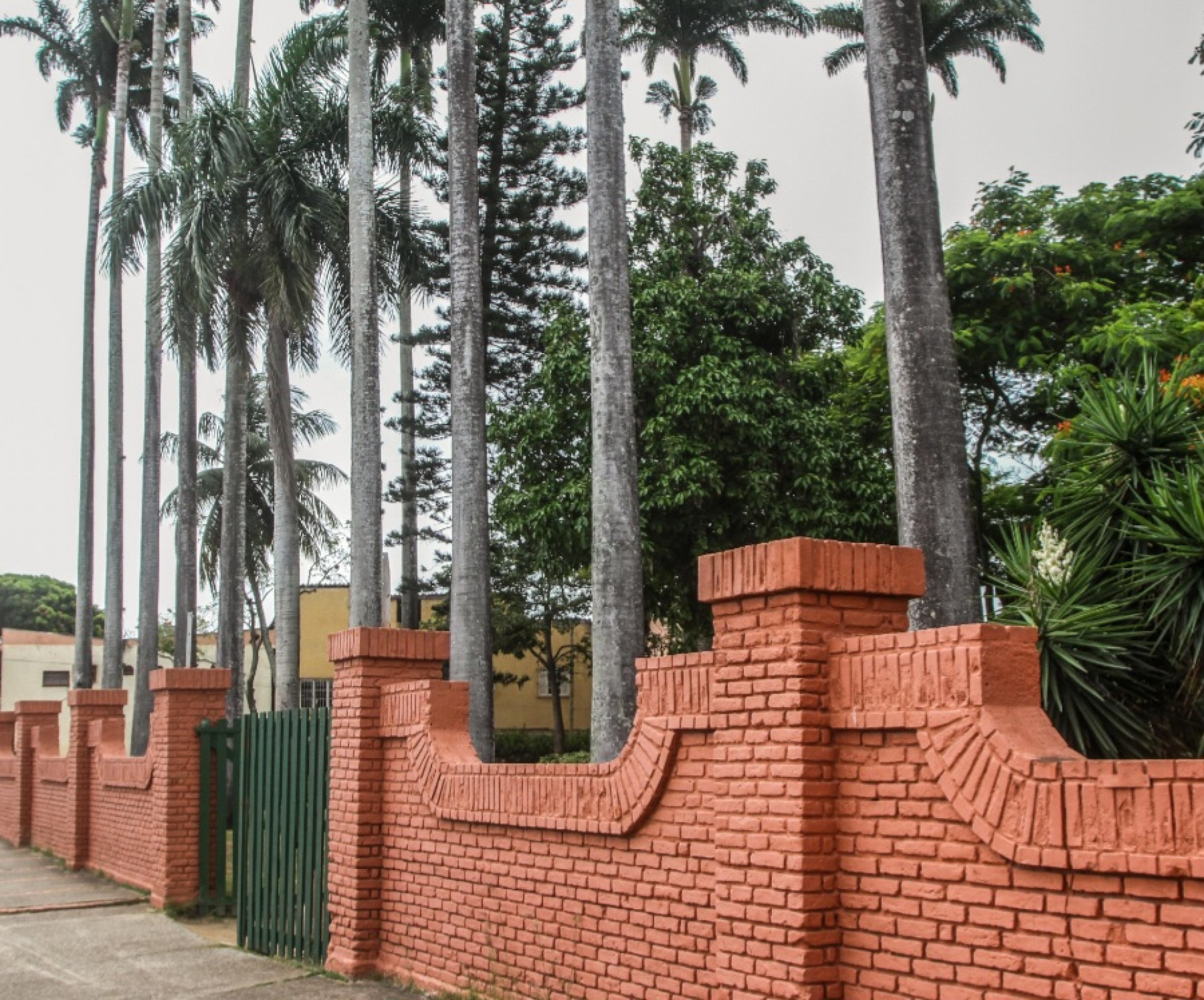 Horto Municipal de Campos está sendo consolidado como 