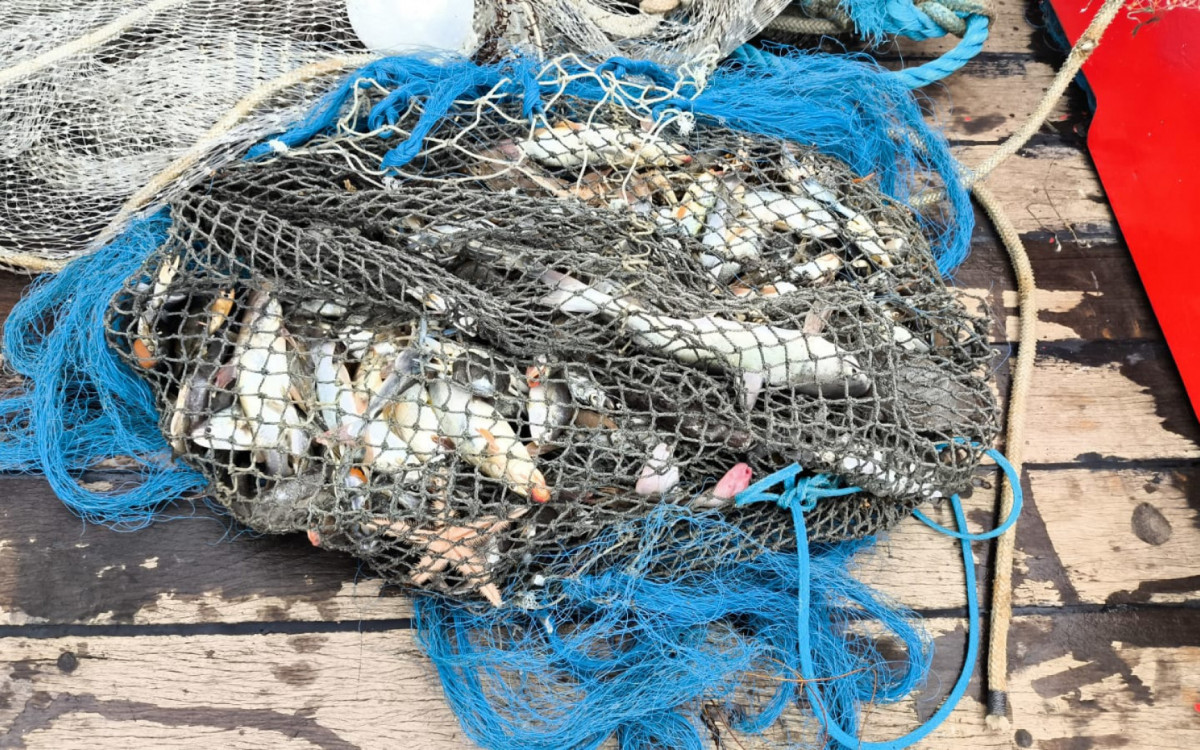 Pesca de arrasto