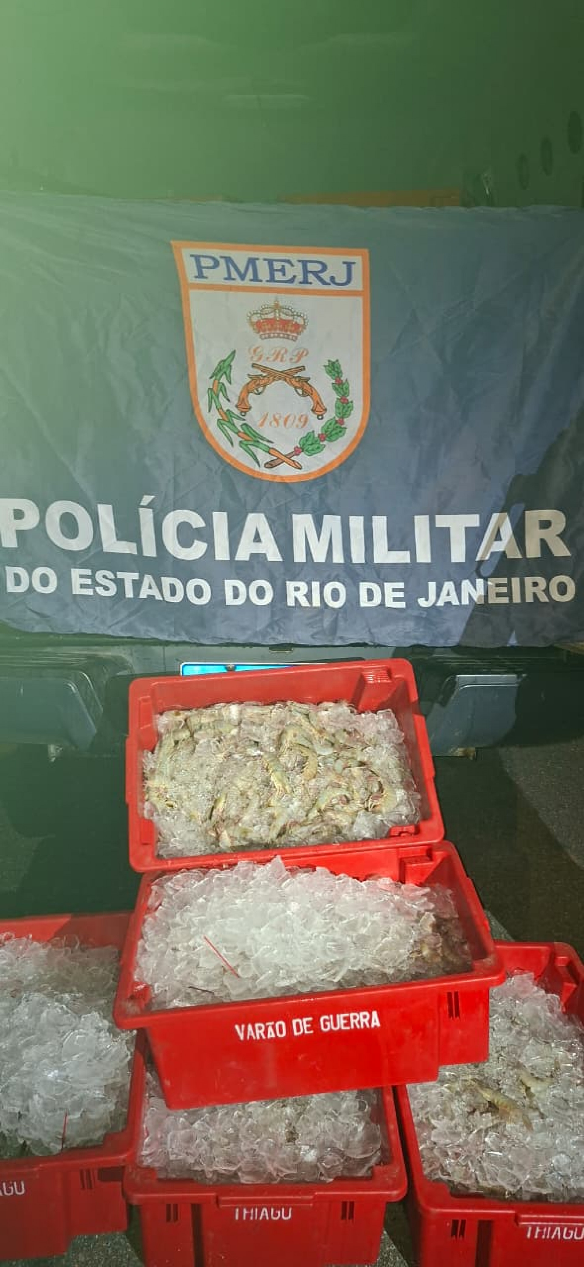 Denúncia de pesca predatória leva à apreensão de 250 quilos de pescado e crustáceos em Paraty