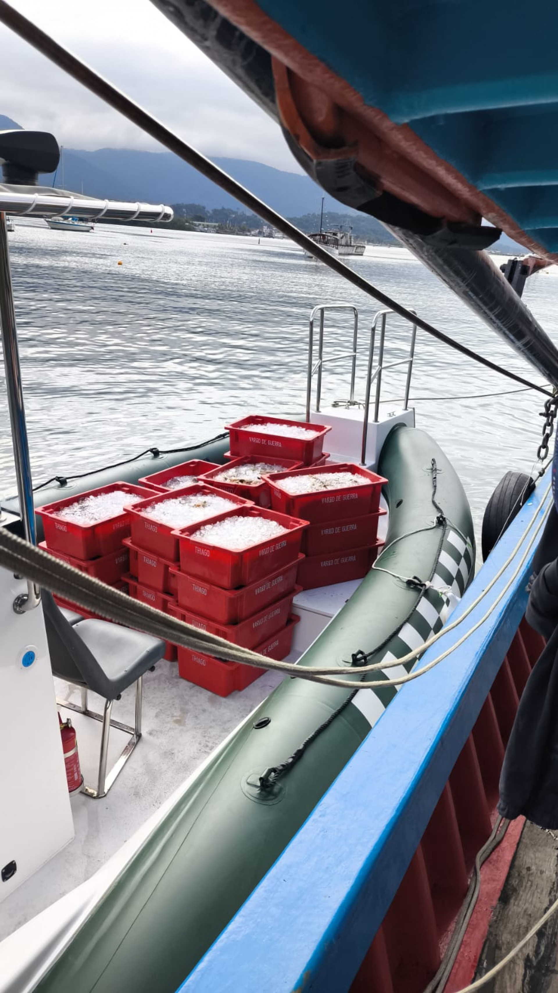 Todo material da pesca apreendido foi transferido ao barco da pol&iacute;cia ambiental em alto mar - Divulga&ccedil;&atilde;o/Disque Den&uacute;ncia