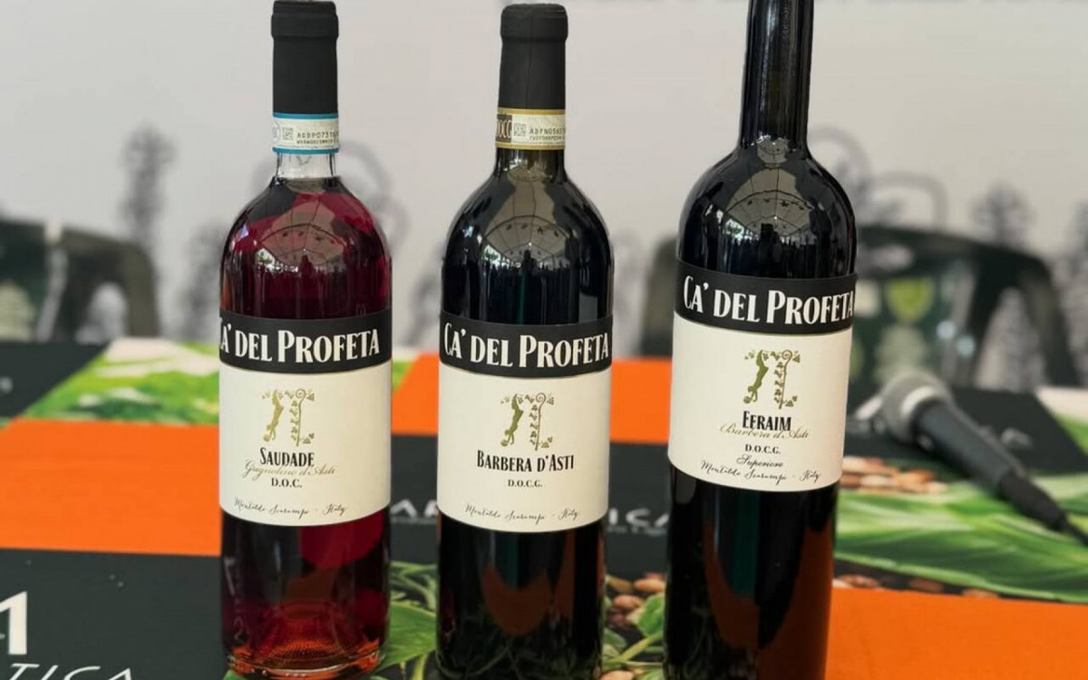 Ap&oacute;s aposentadoria, &iacute;dolo do S&atilde;o Paulo produz vinho em &aacute;rea rural