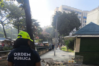 Operação resulta no resgate de 20 pássaros colocados para venda clandestina na Tijuca