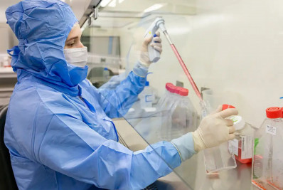 Estudo usa células-tronco contra complicações do transplante de medula