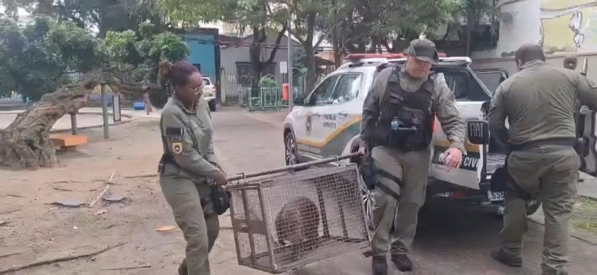 Guarda Municipal reintegra capivara resgatada em área de proteção ambiental