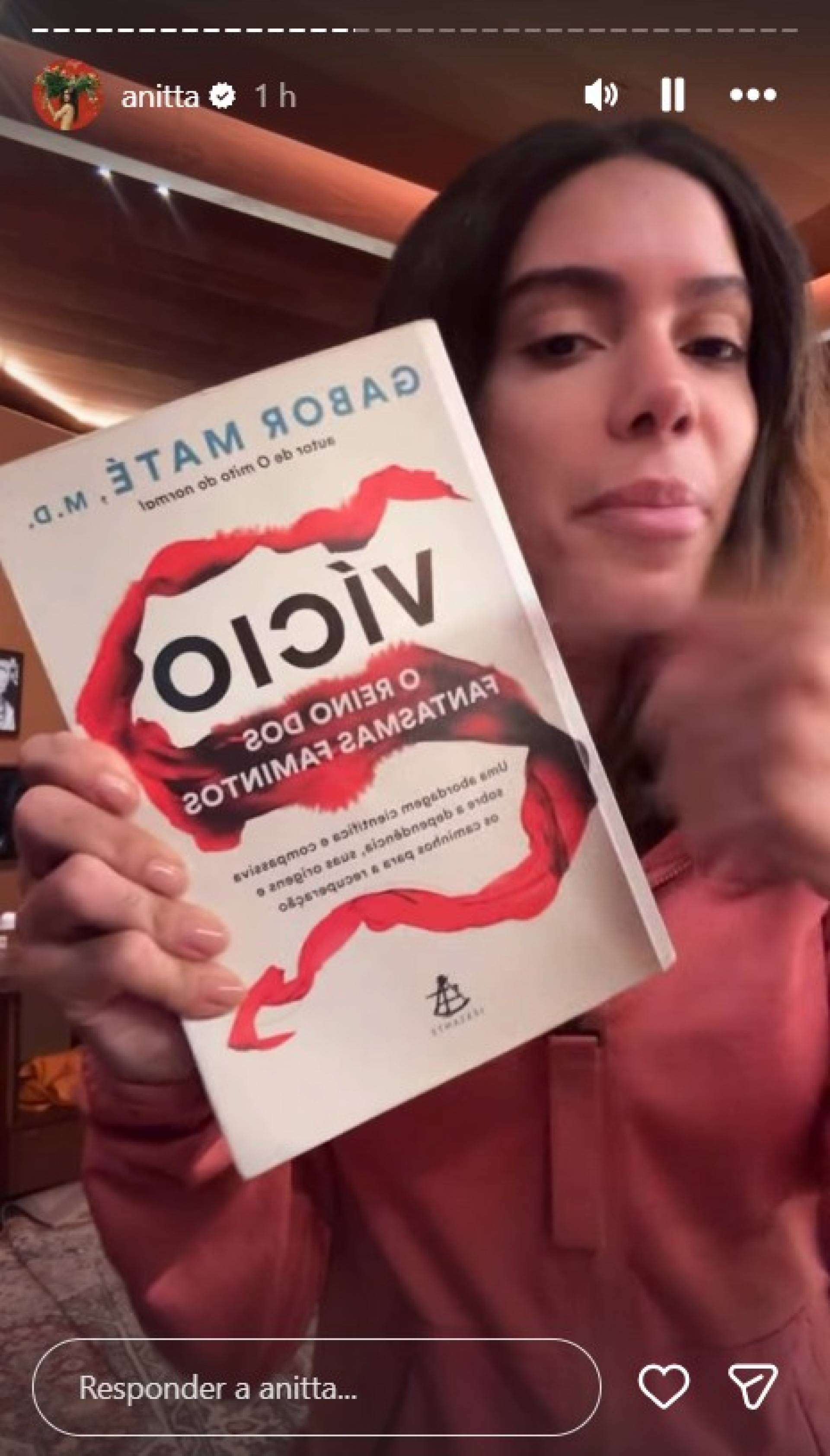 Anitta indica o livro 'Vícios', de Gabor Maté - Reprodução / Instagram