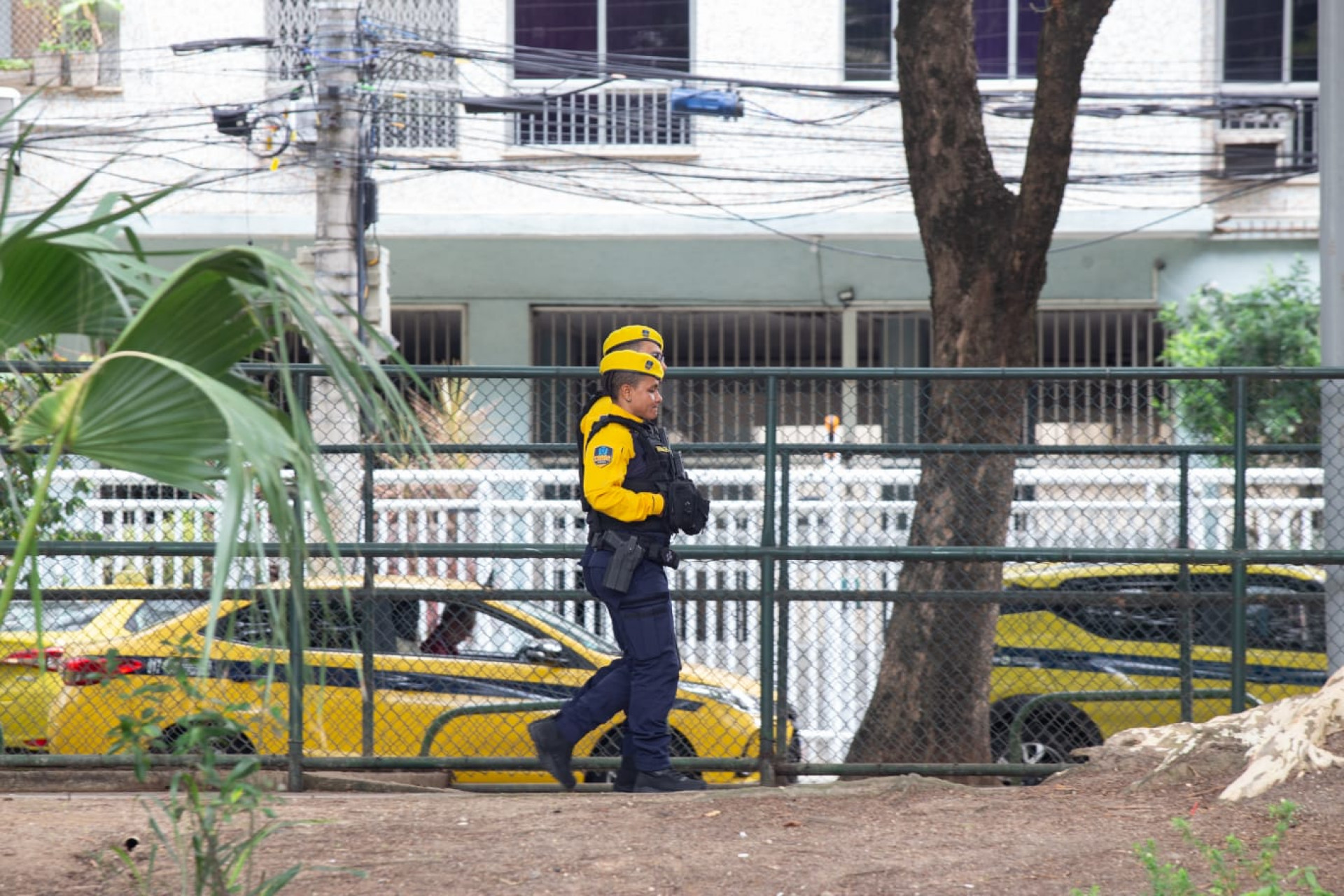 Divisão de Elite da Guarda Municipal do Rio já realizou mais de 3,8 mil abordagens nas ruas - Érica Martin/Agência O Dia