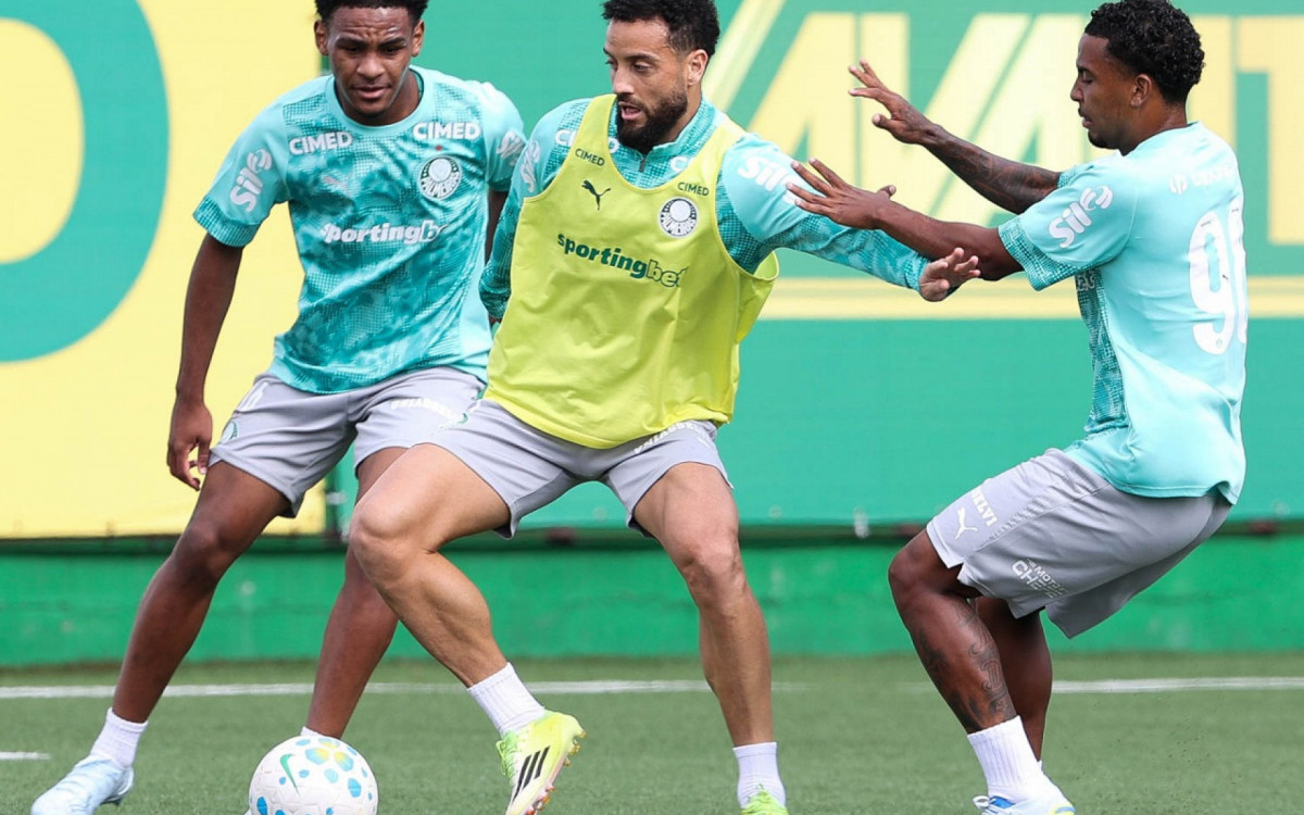 Palmeiras x Chapecoense: onde assistir, escala&ccedil;&otilde;es e arbitragem