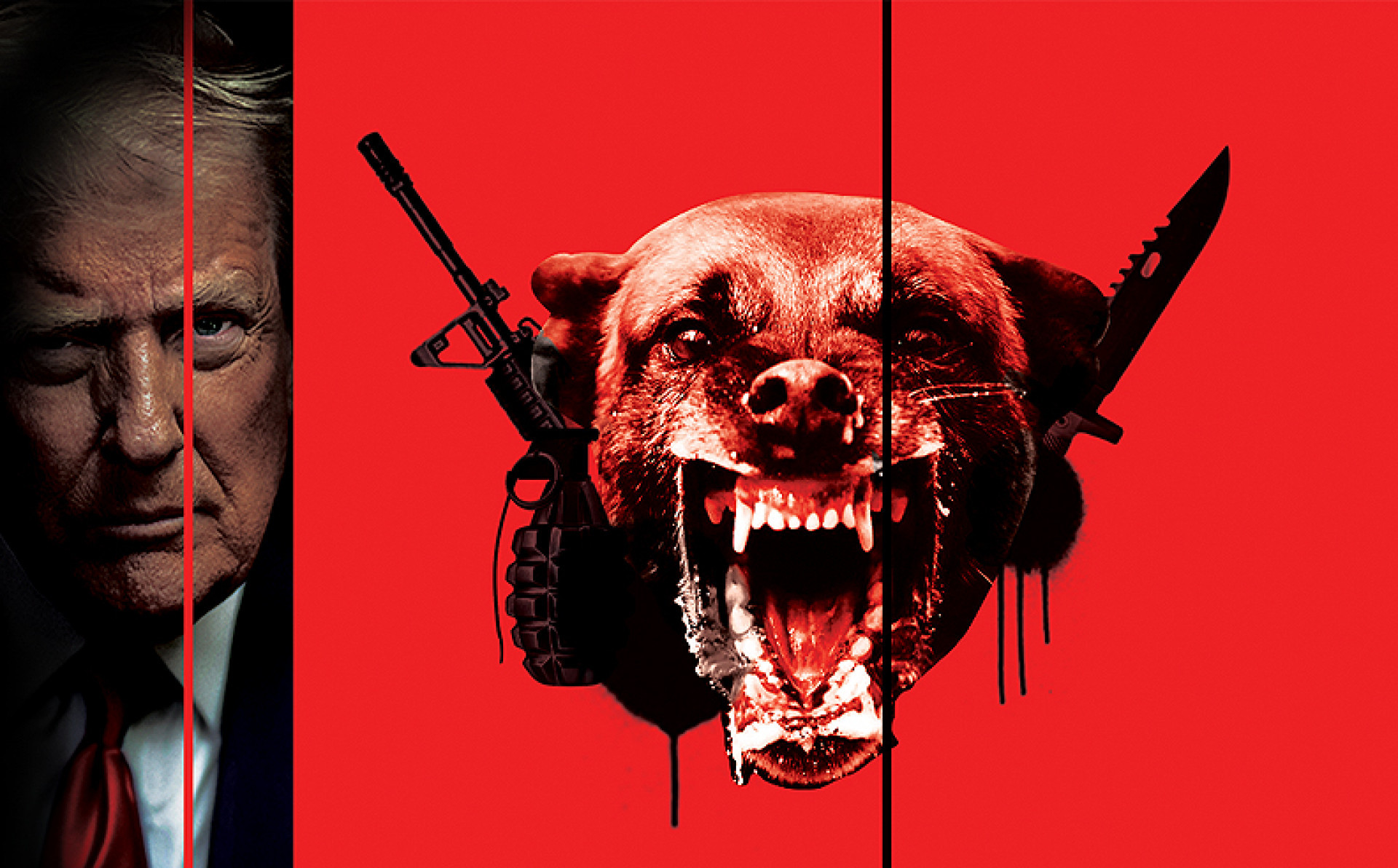 Guerra ao terror