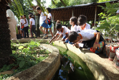 Niterói abre Semana do Meio Ambiente com ações em escolas, mutirões e sustentabilidade