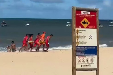 Criança é mordida por tubarão em praia de Pernambuco 