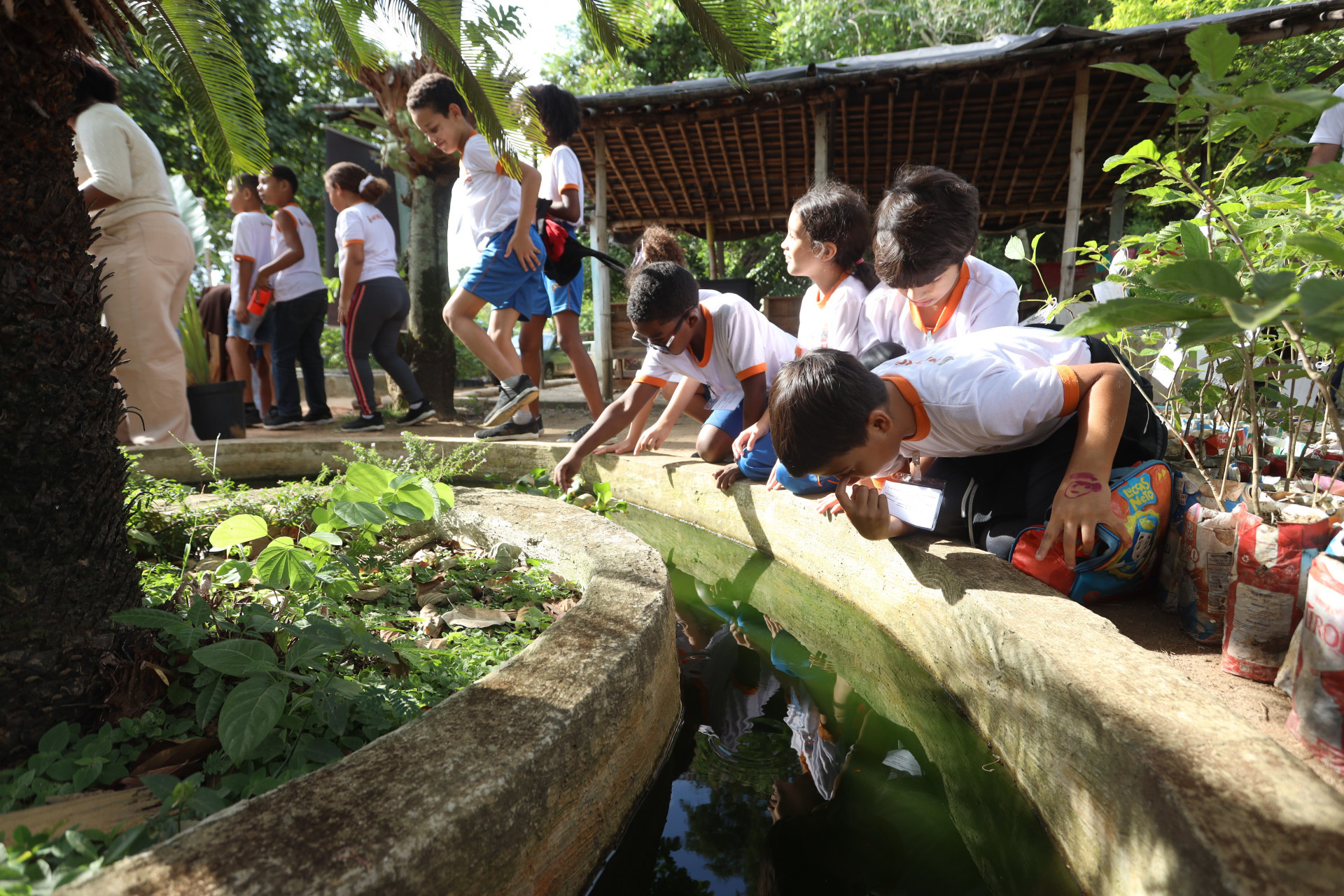 Niterói abre Semana do Meio Ambiente com ações em escolas, mutirões e sustentabilidade