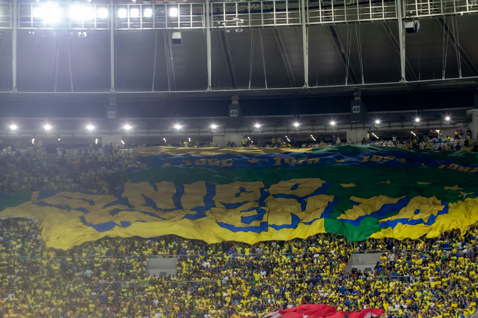 Torcida do Brasil no Maracanã - Érica Martin / Agência O Dia