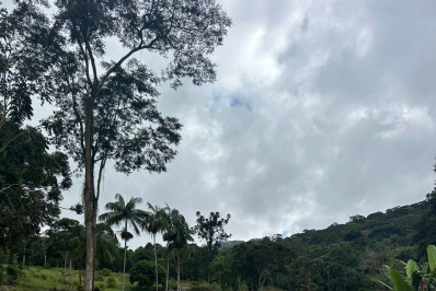 Polícia Ambiental identifica degradação em área de preservação permanente em Nova Friburgo