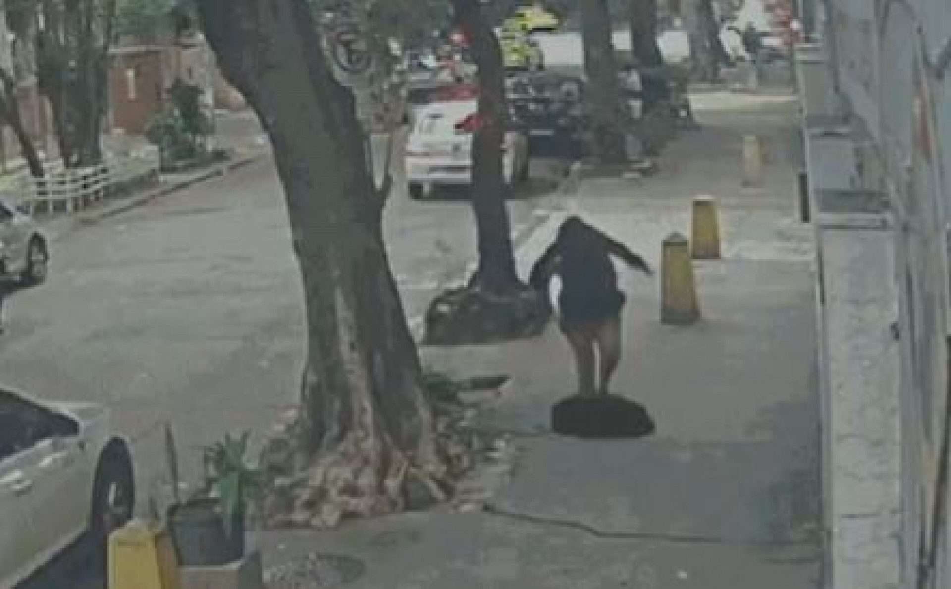 Vídeo: Mulher fica ferida ao cair em bueiro na Zona Norte