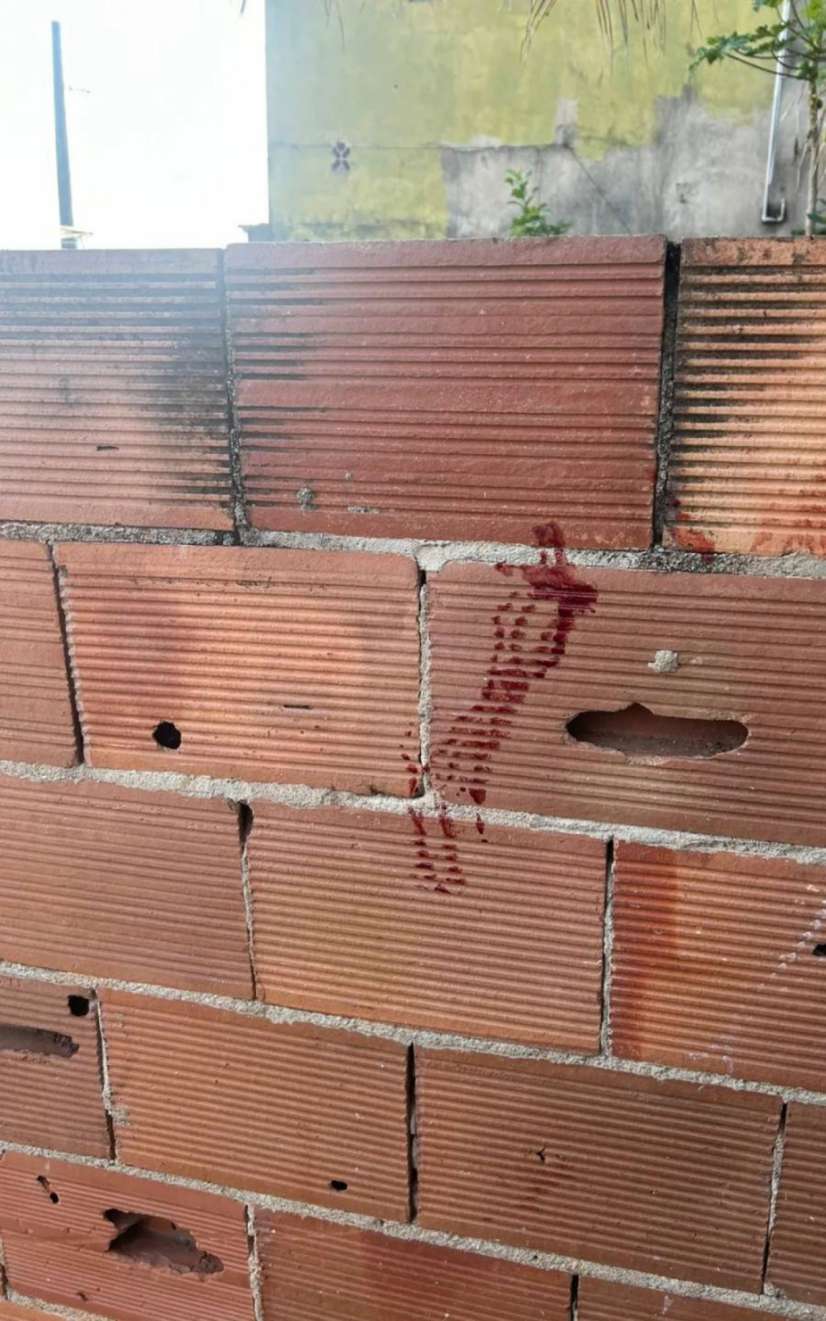 Marcas de sangue do lado de fora da casa da vítima - Rede Social