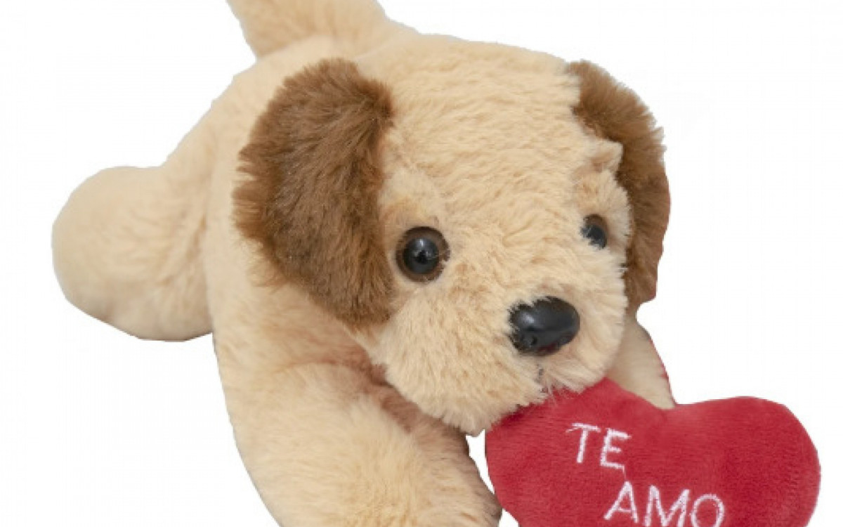 Cachorro com coração por R$ 49,99