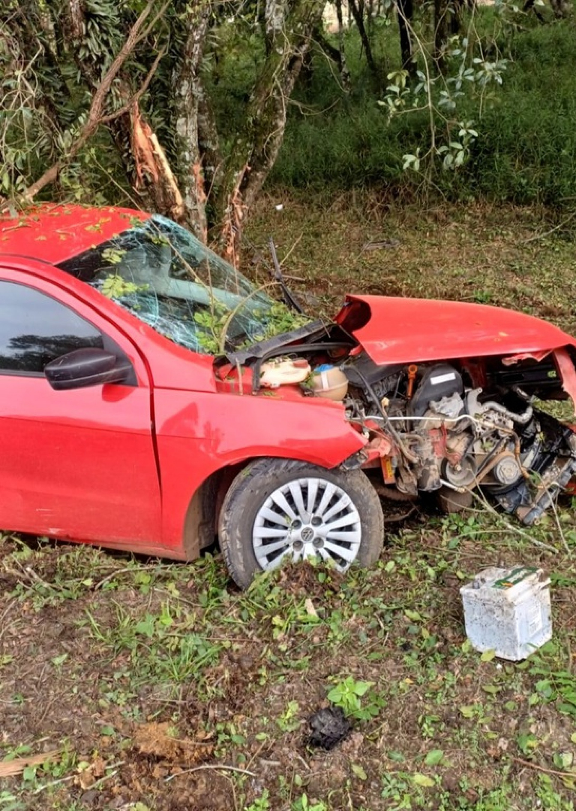 Motorista bate em árvore tentando fugir da PRF; veículo transportava quase 200 kg de maconha
