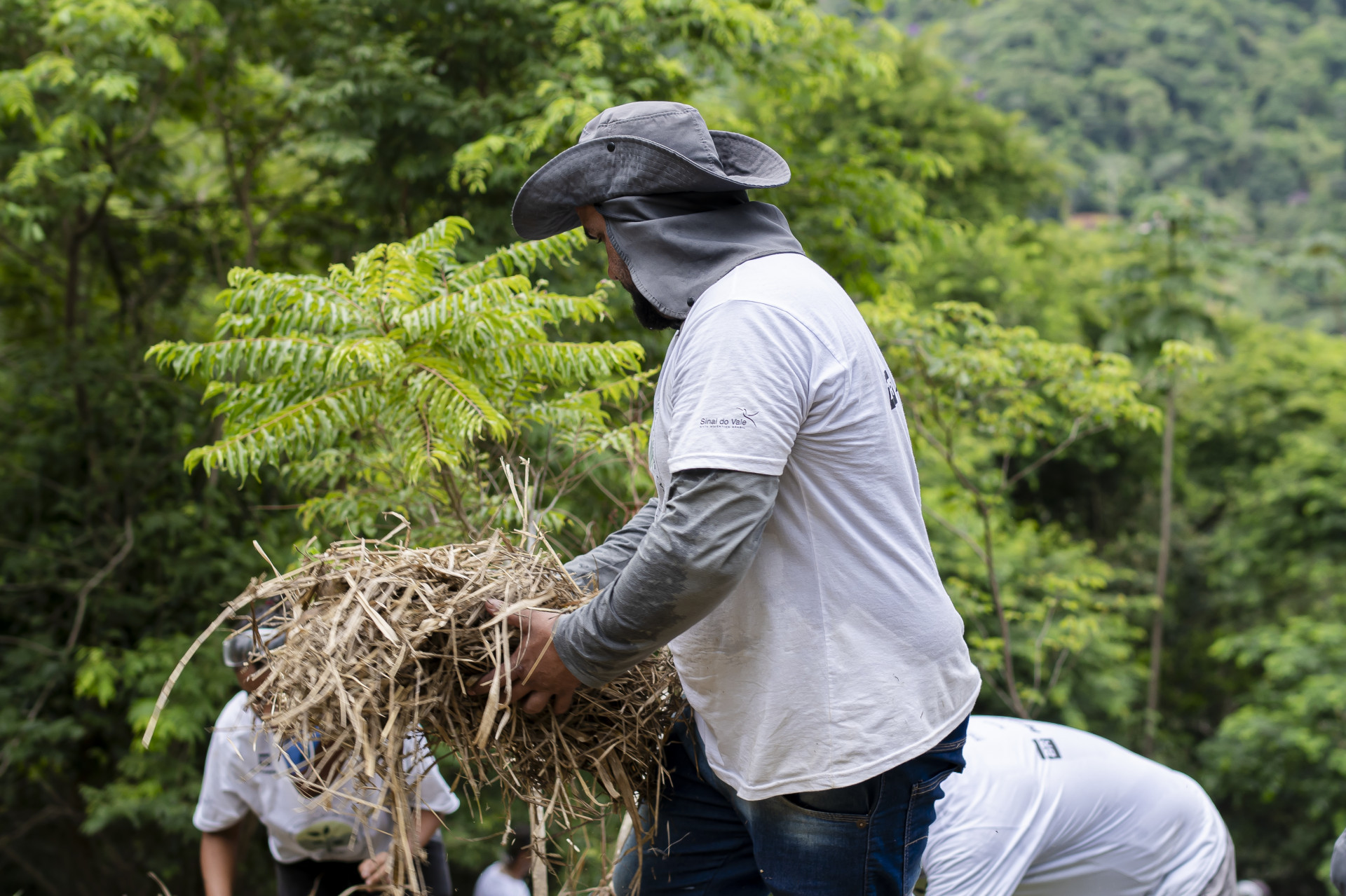 Sinal do Vale, em Caxias, recebe projeto de formação em restauração ecológica