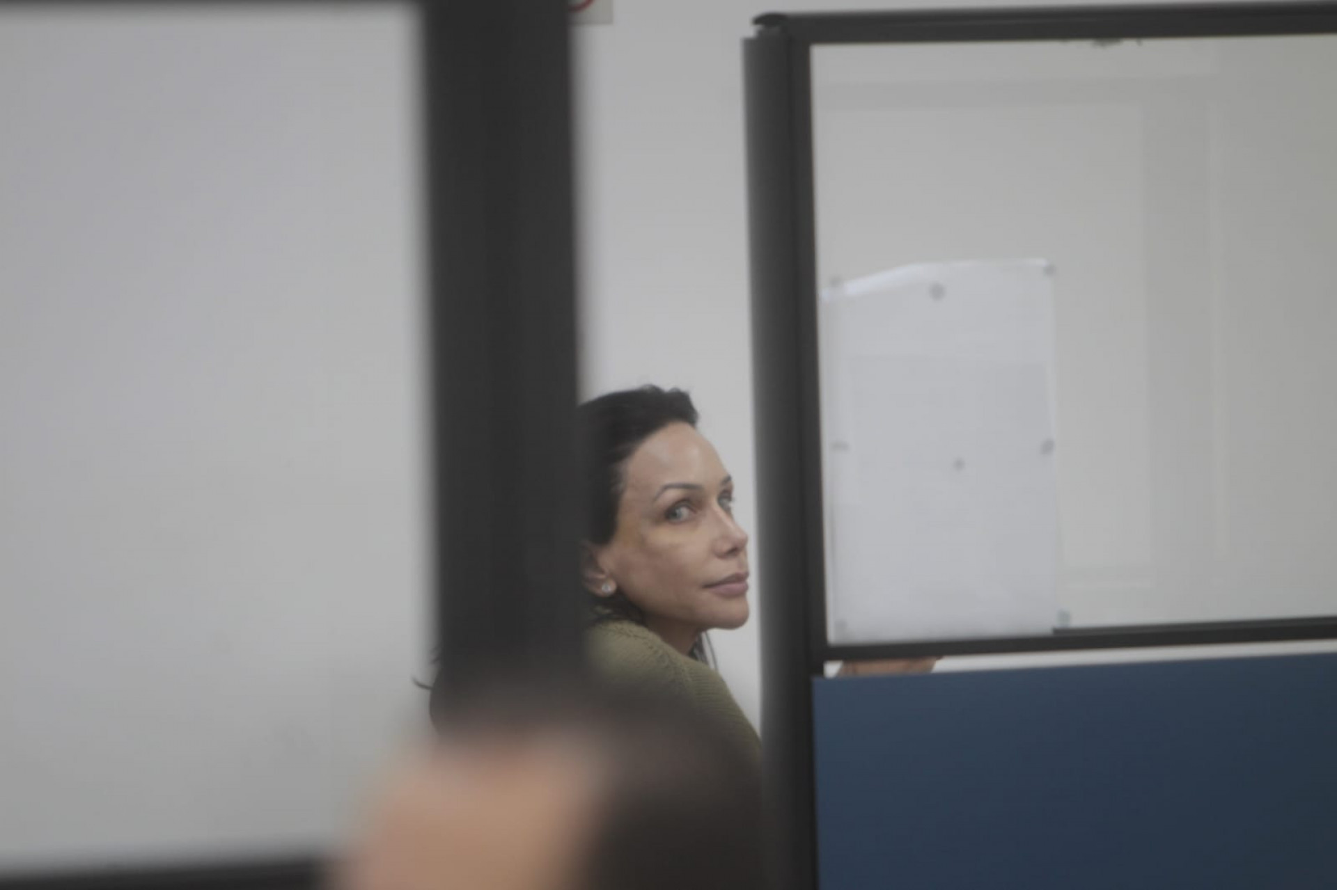 Michelle Coelho Montenegro foi presa por agentes da DDEF - Reginaldo Pimenta / Agência O Dia