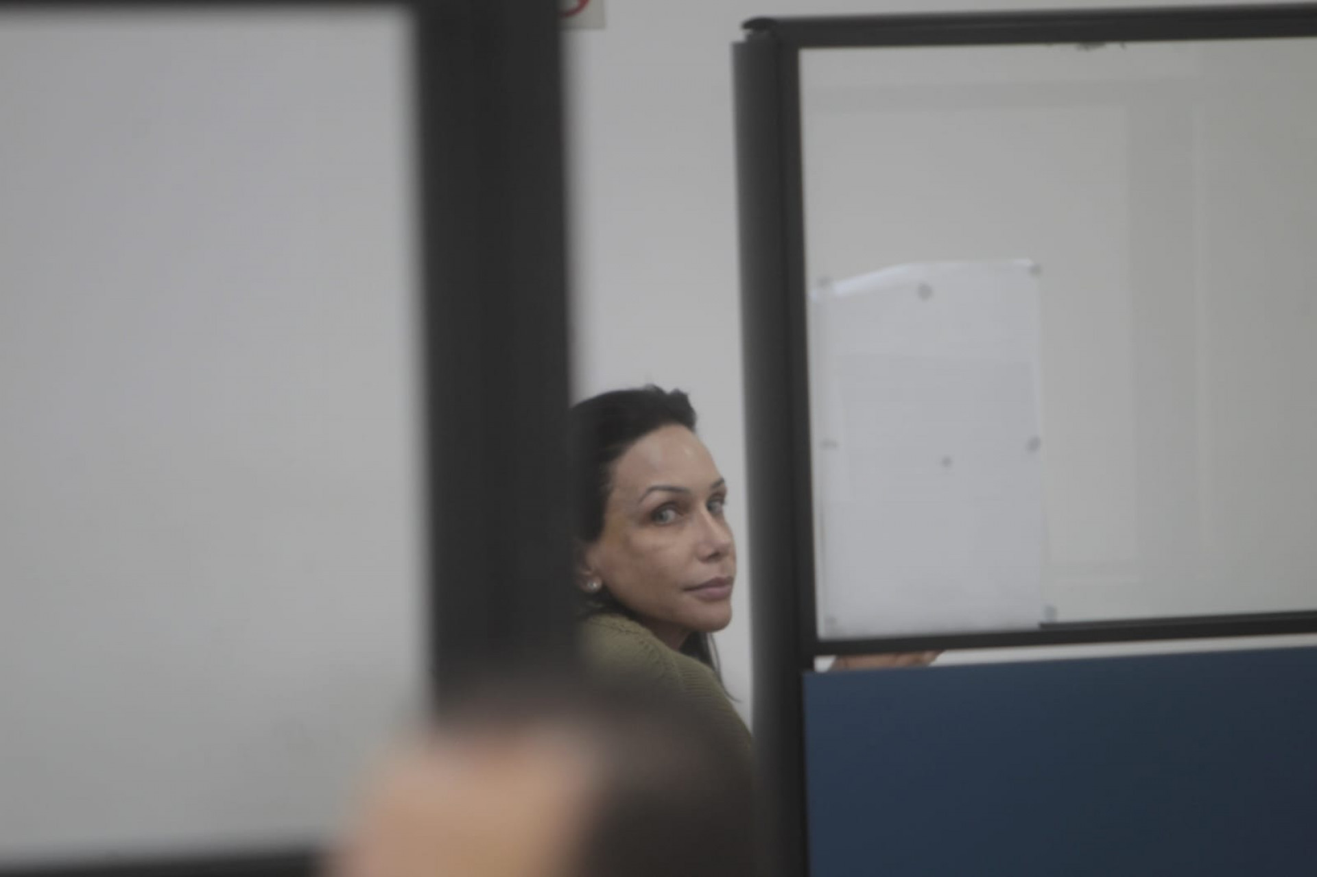 Michelle Coelho Montenegro foi presa por agentes da DDEF - Reginaldo Pimenta / Agência O Dia