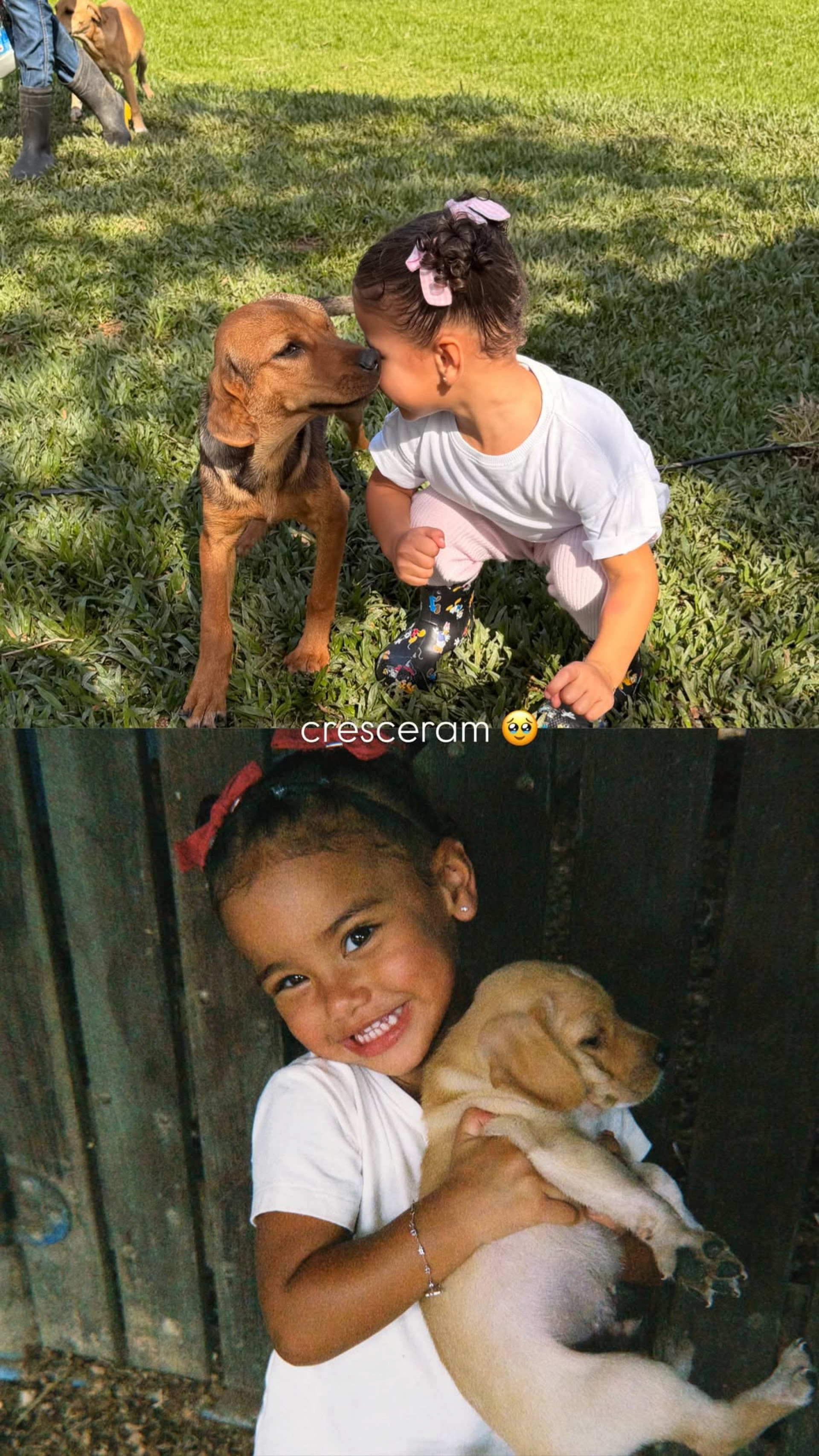 Mavie Biancardi junto ao cachorro da família - Reprodução/Instagram