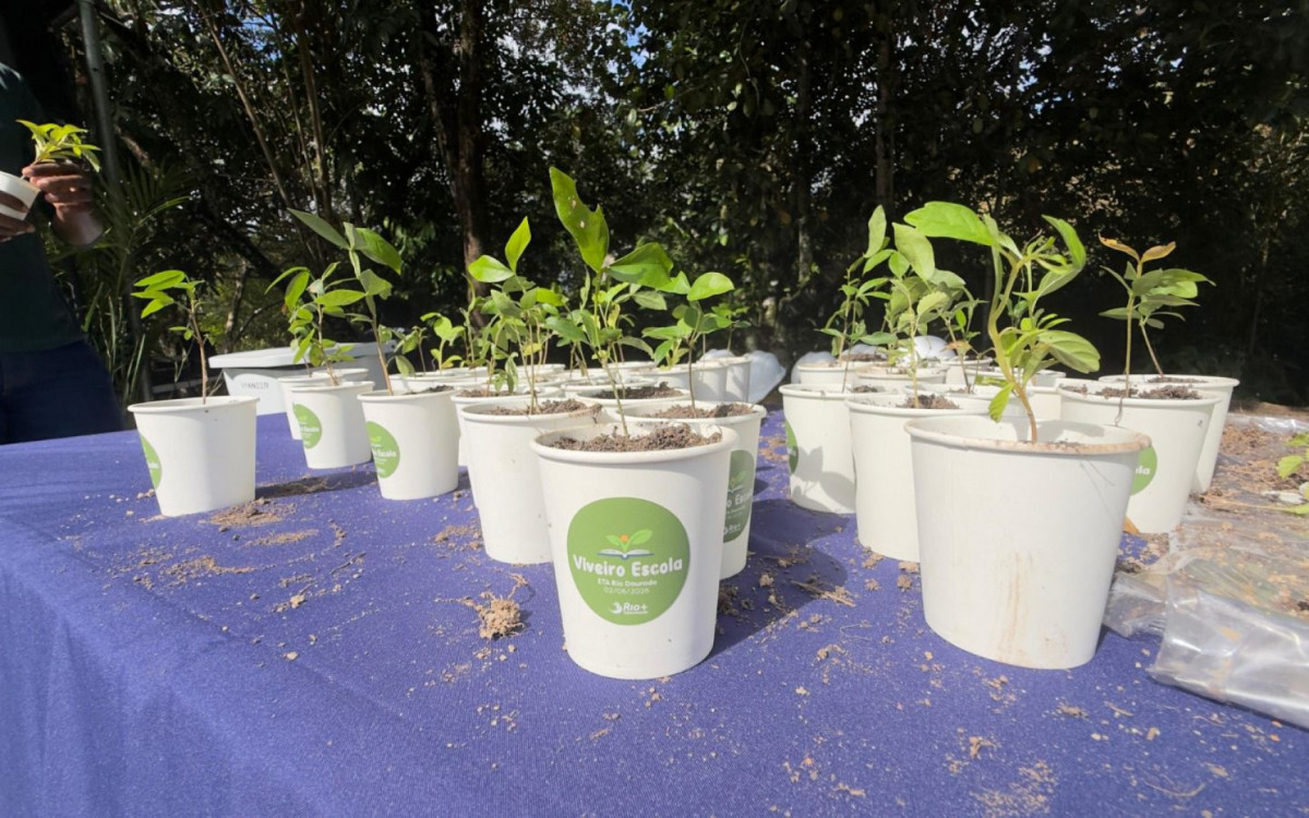 Viveiro Escola vai produzir mudas nativas da Mata Atlântica e ampliar ações de educação ambiental em Rio das Ostras