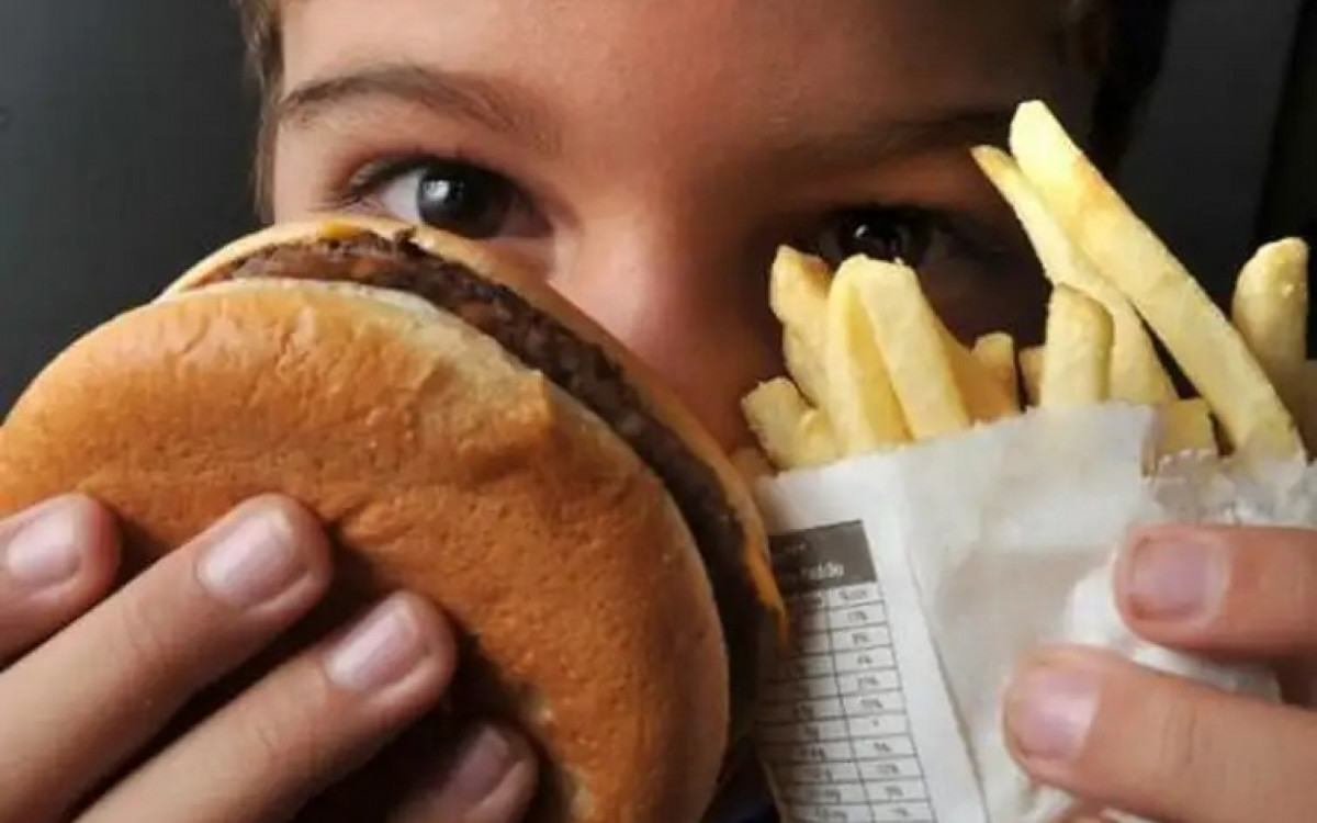 Alimentos ultraprocessados