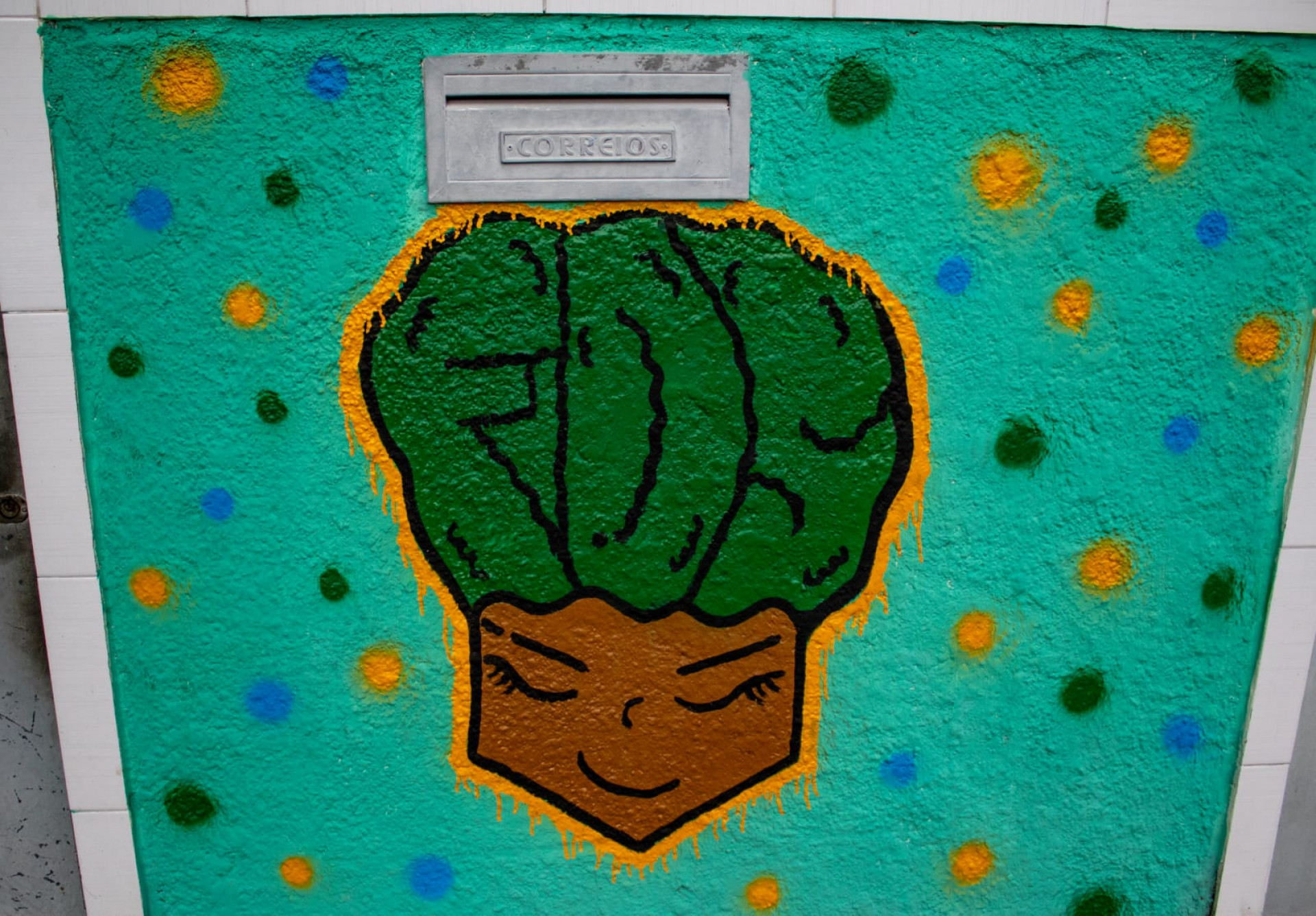 Rua Taturana, em Vicente de Carvalho, recebe pinturas para a Copa do Mundo - Érica Martins/Agência O DIA