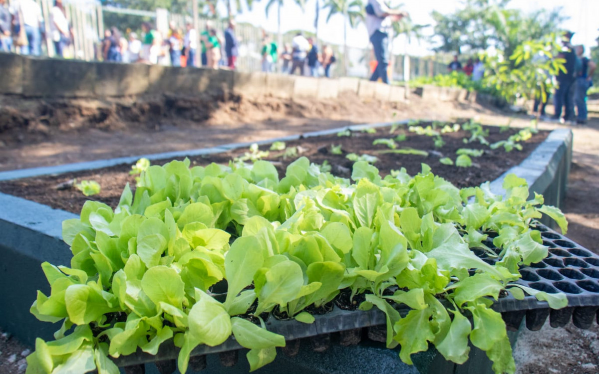 Obras da maior horta urbana do mundo iniciam no Parque Madureira, na Zona Norte do Rio