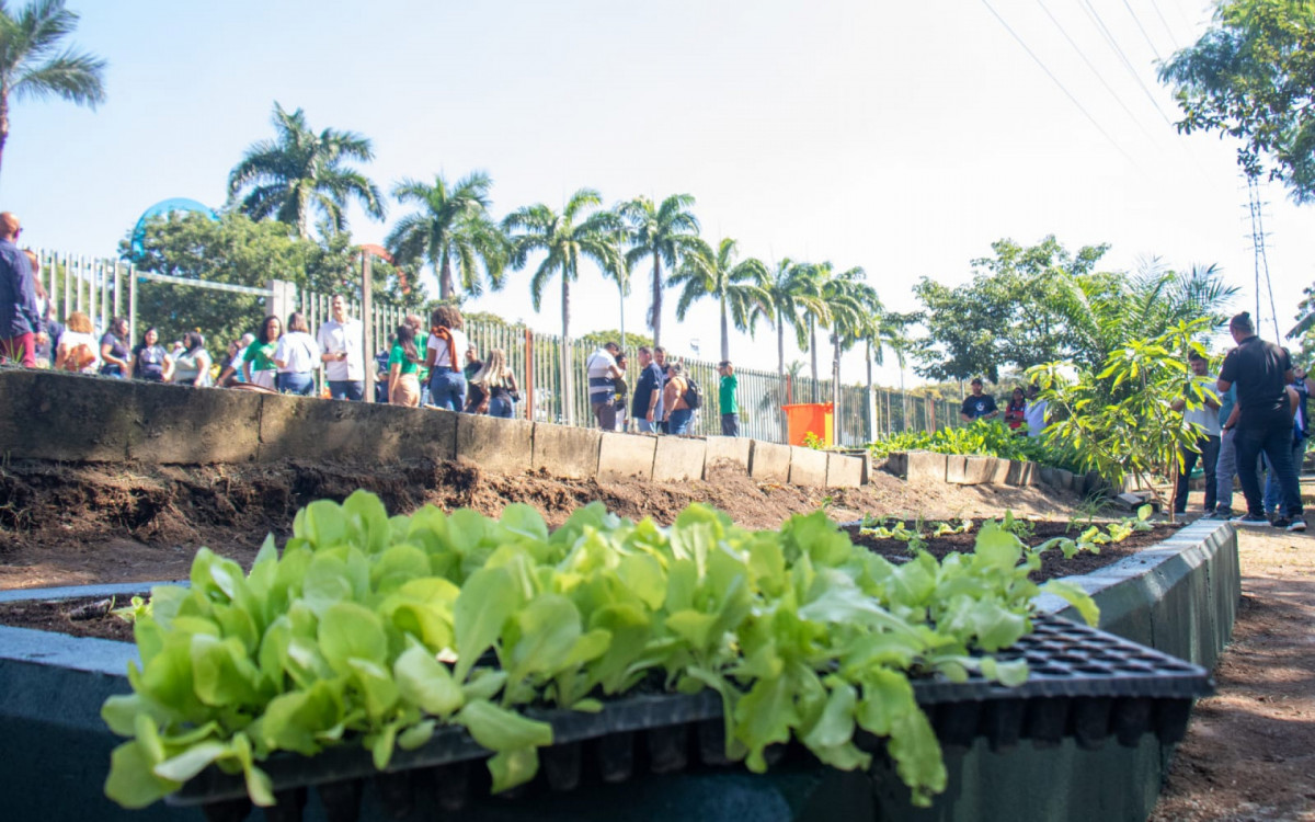 Parque Madureira: Prefeitura do Rio inicia obras da maior horta urbana do mundo