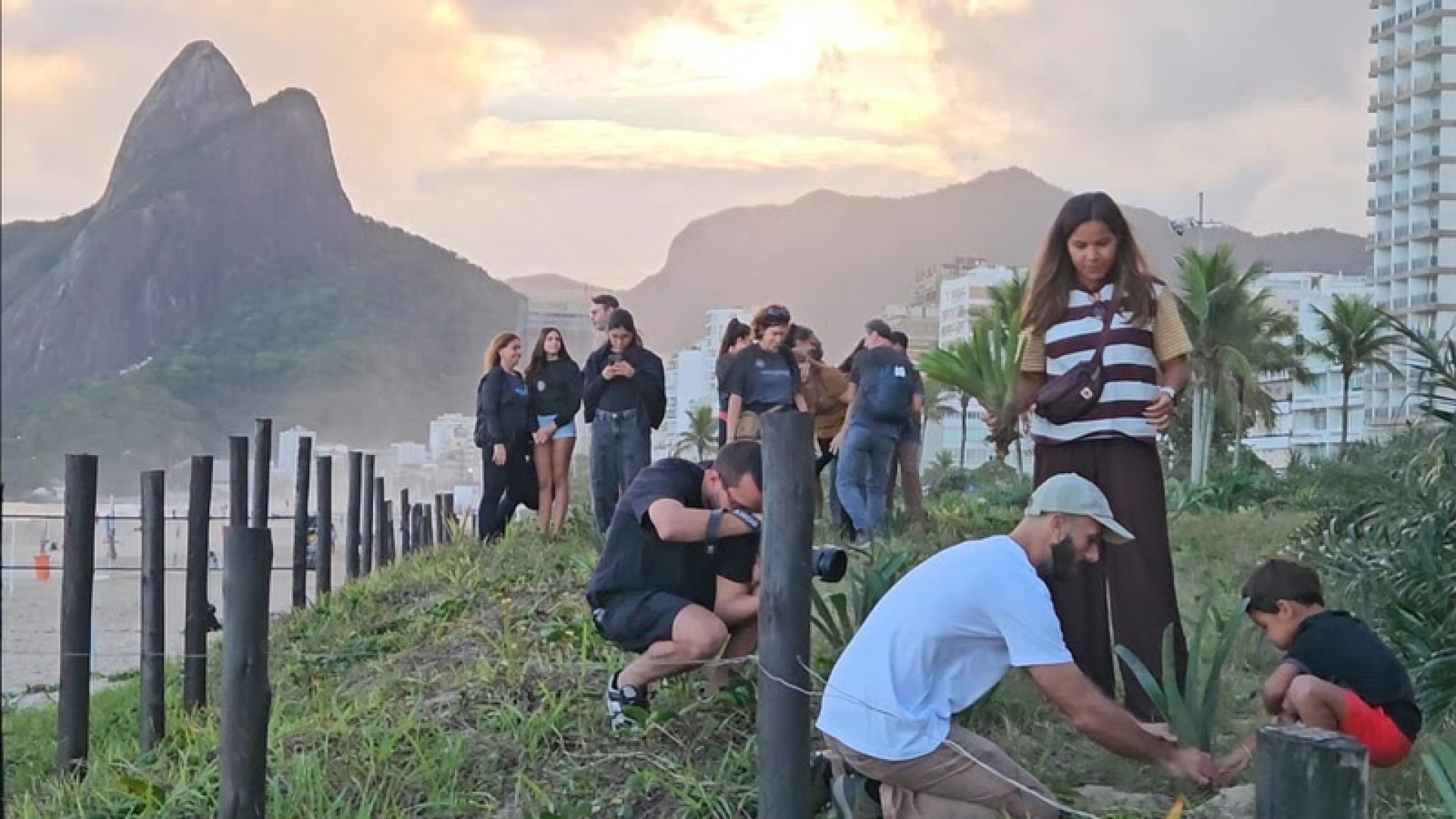 Plantio de mudas nativas reúne voluntários na Praia de Ipanema