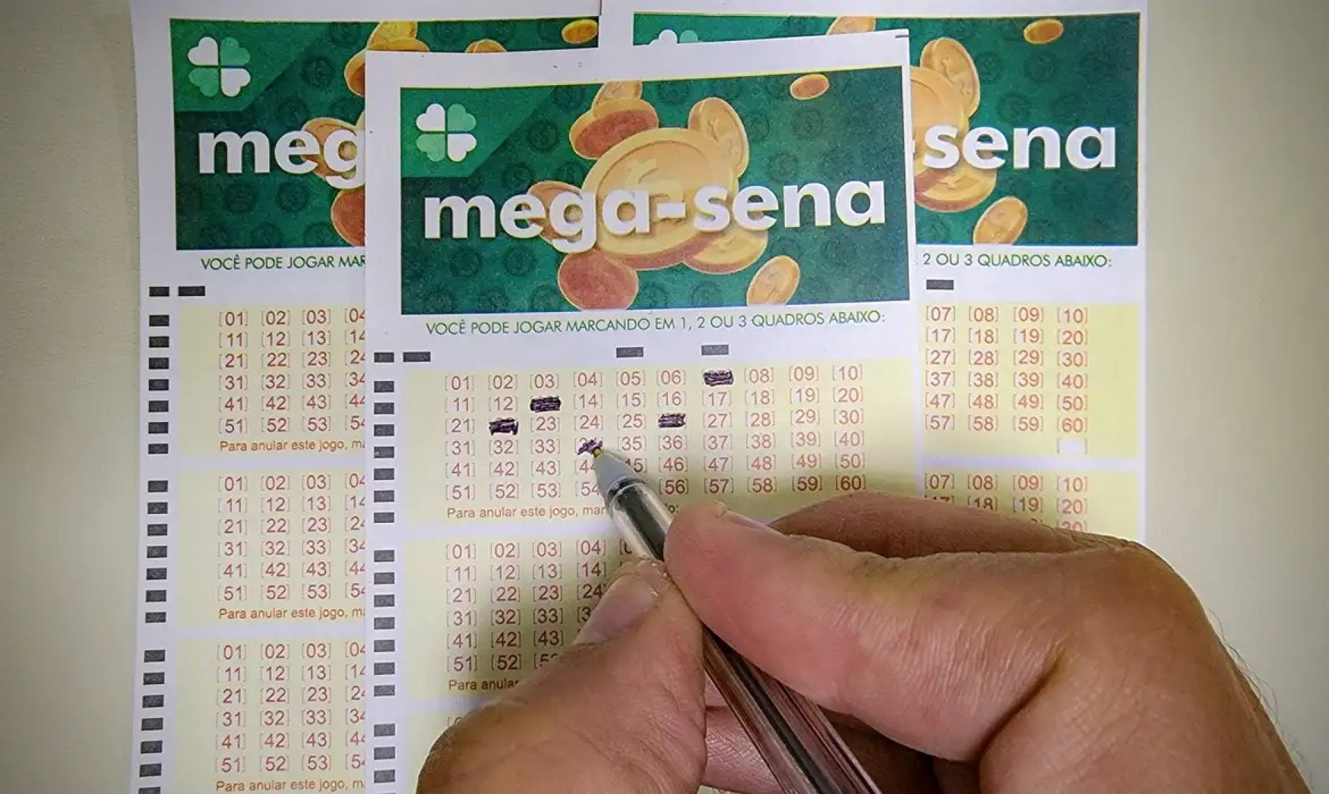 Jogo simples, com seis n&uacute;meros marcados, custa R$ 6