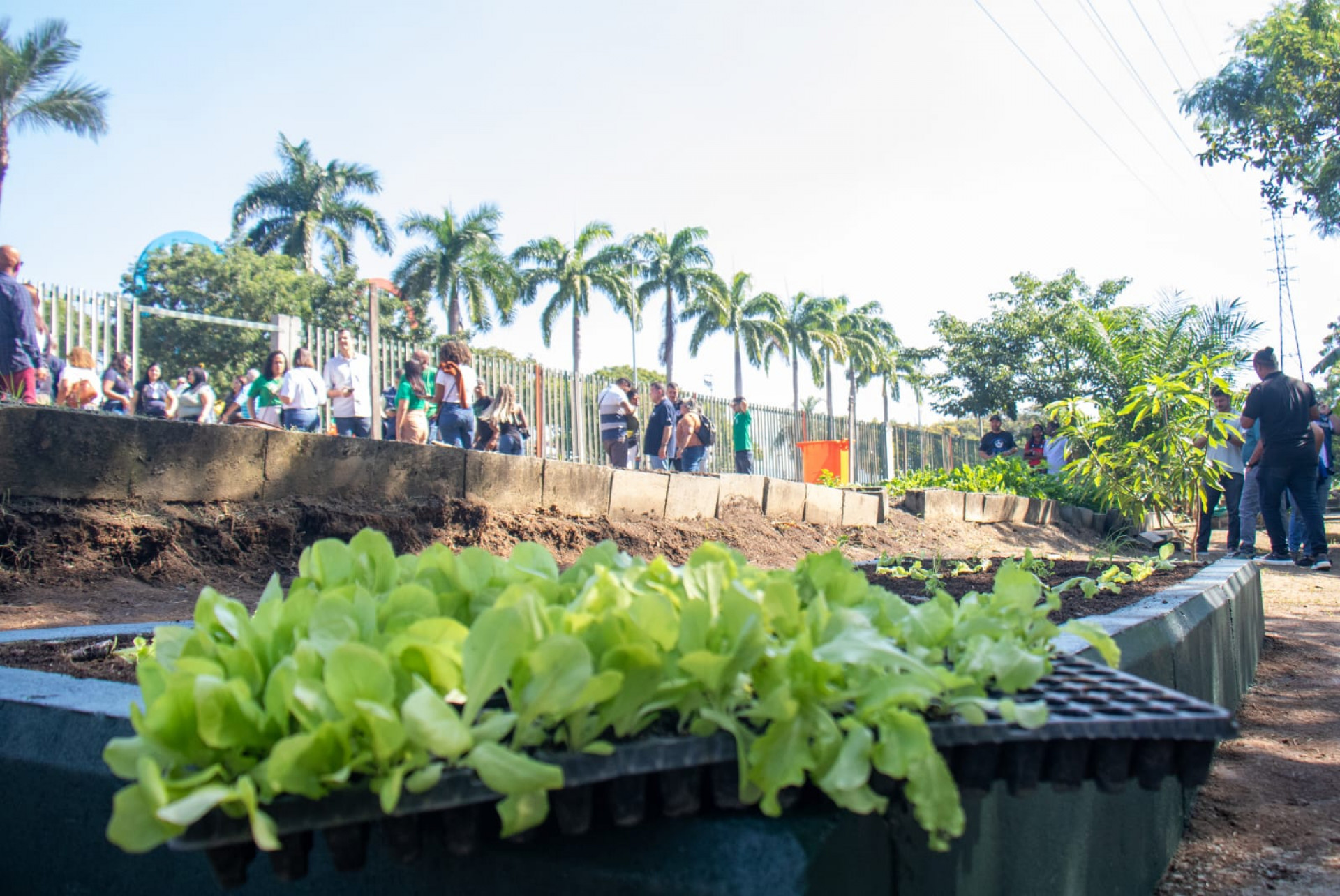 Parque Madureira: Prefeitura do Rio inicia obras da maior horta urbana do mundo - Érica Martin / Agência O DIA