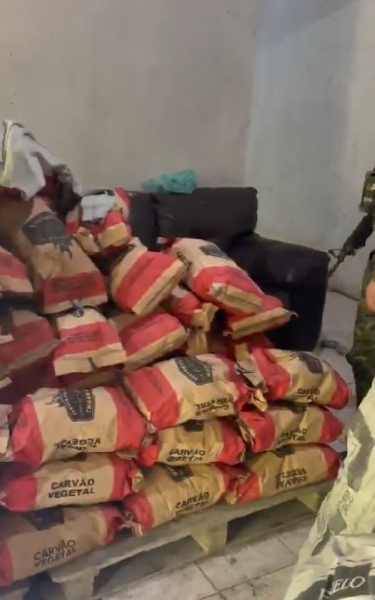PM interrompe fabricação clandestina de carvão vegetal em Xe