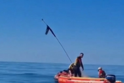 Baleia presa em rede mobiliza resgate em Rio das Ostras e reacende debate sobre pesca e preservação marinha