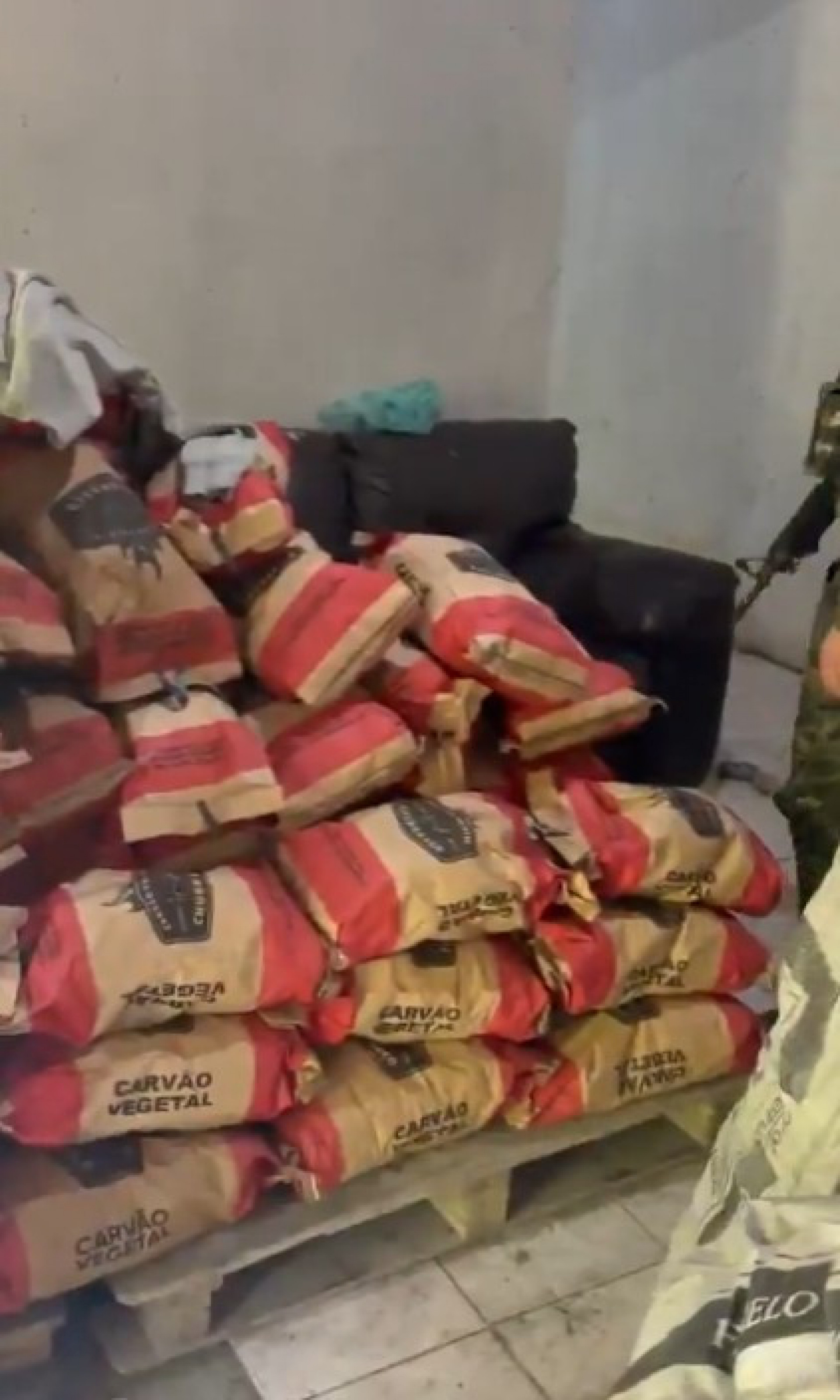 PM apreende cerca de 20 kg de carvão vegetal ilegal em Xerém - Reprodução de vídeo / X
