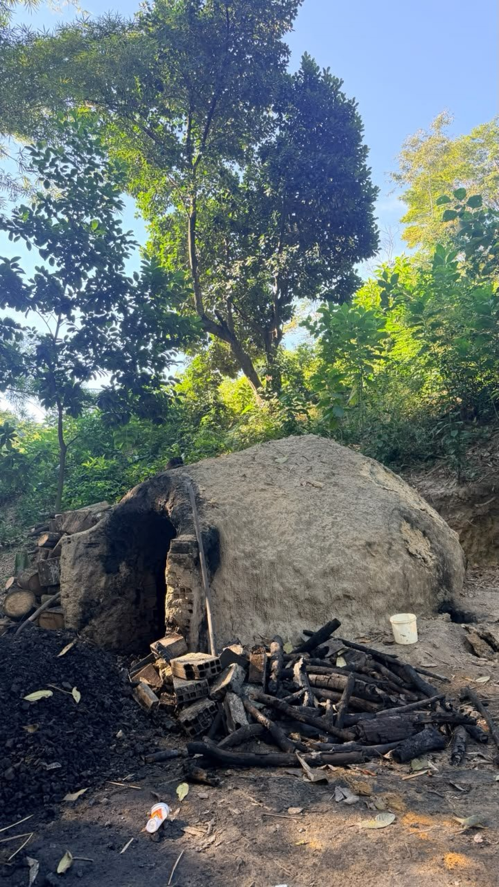 Agentes do (CPAm) identificaram área utilizada para a fabricação clandestina de carvão vegetal em Duque de Caxias, na Baixada Fluminense
 - Reprodução / X