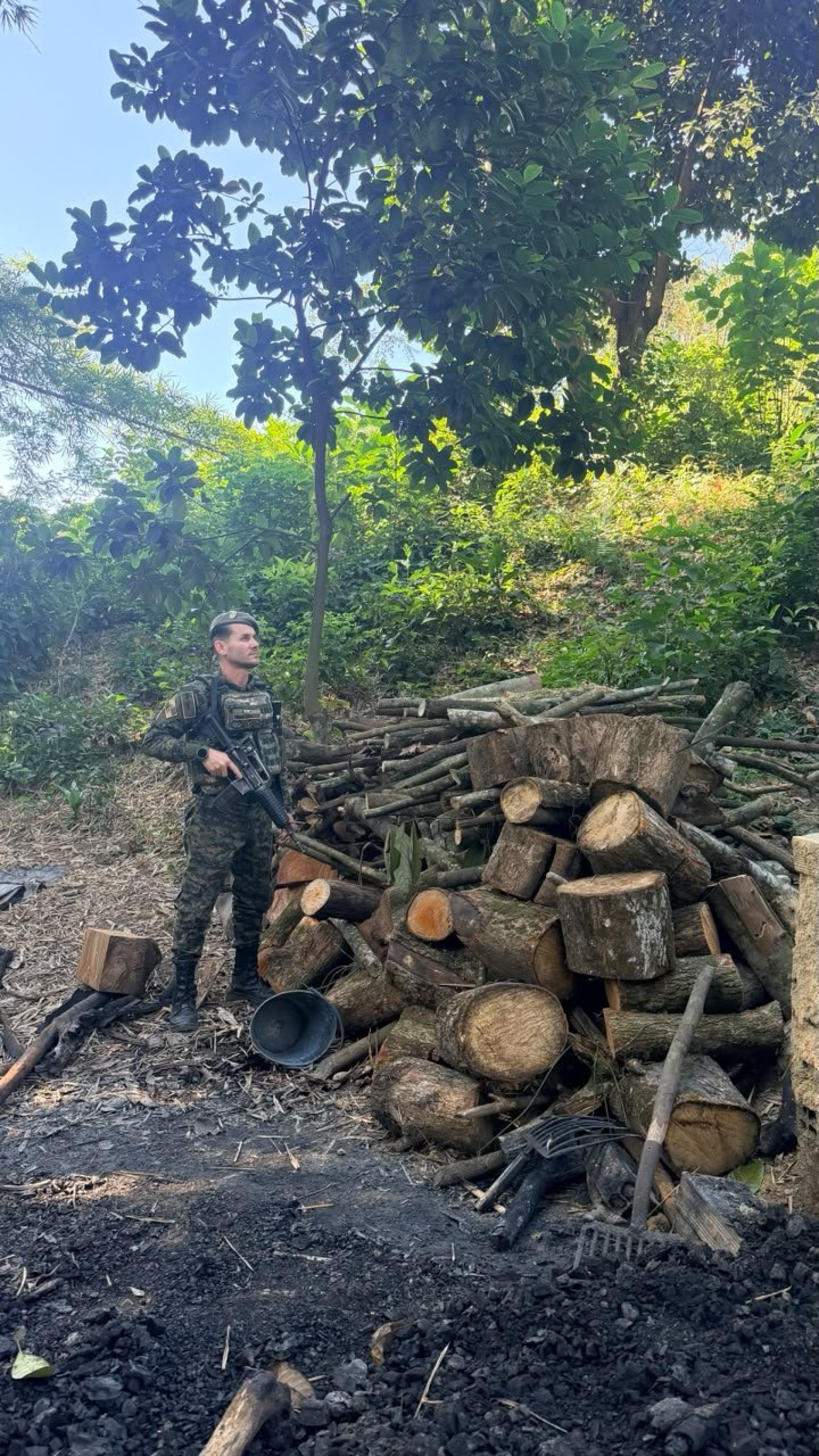 PMs receberam denúncia de poluição e desmatamento devido fabricação clandestina de carvão vegetal em Xerém, Duque de Caxias, na Baixada  - Reprodução / X