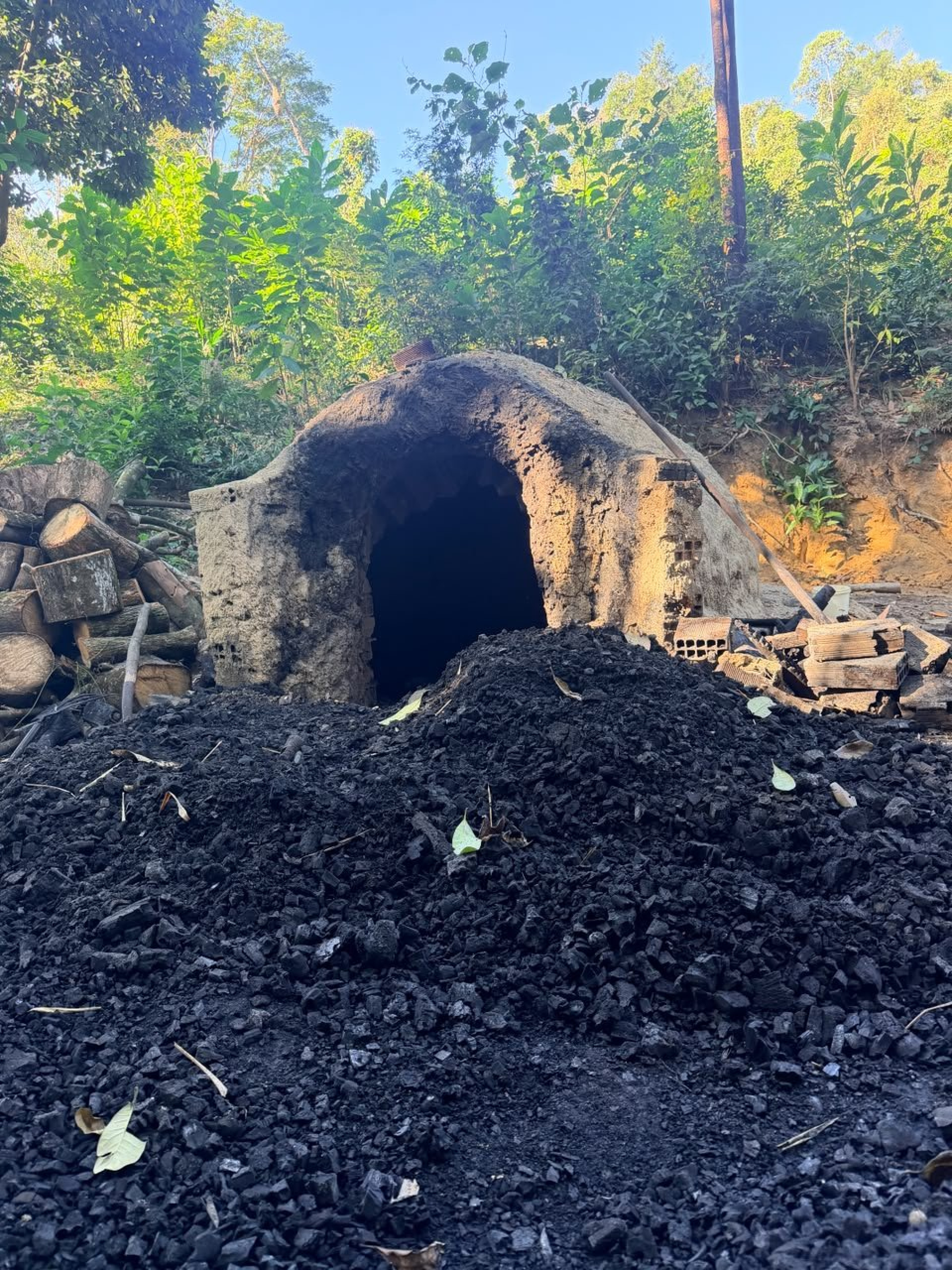 Policiais militares do Comando de Polícia Ambiental (CPAm) identificaram área utilizada para a fabricação clandestina de carvão vegetal na Baixada - Reprodução / X