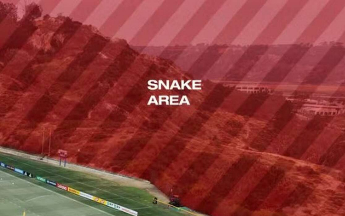 Copa do Mundo: presen&ccedil;a de cobras ao lado do CT soa alarme em delega&ccedil;&atilde;o su&iacute;&ccedil;a