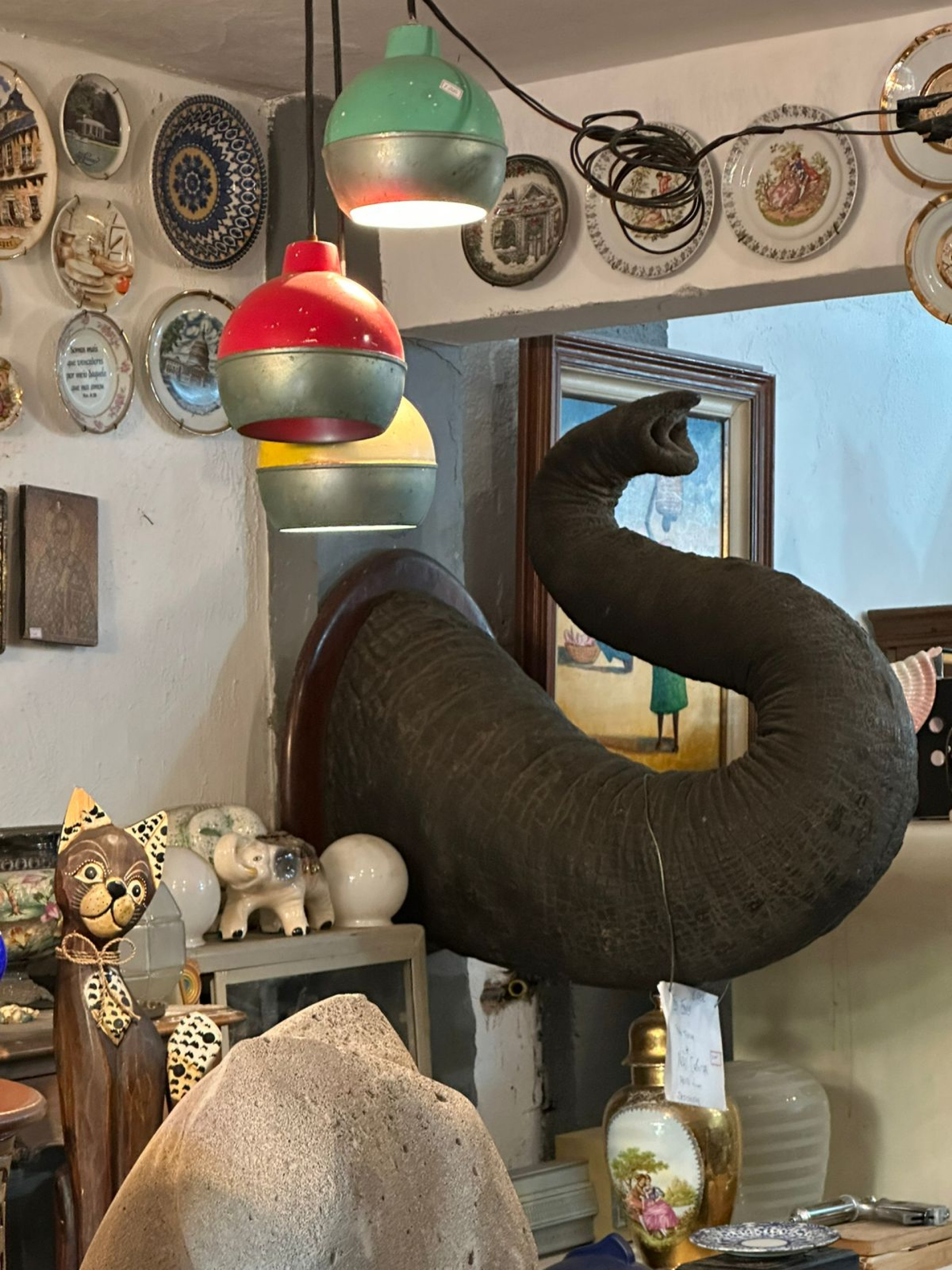 PF apreende possível tromba de elefante em antiquário no Rio