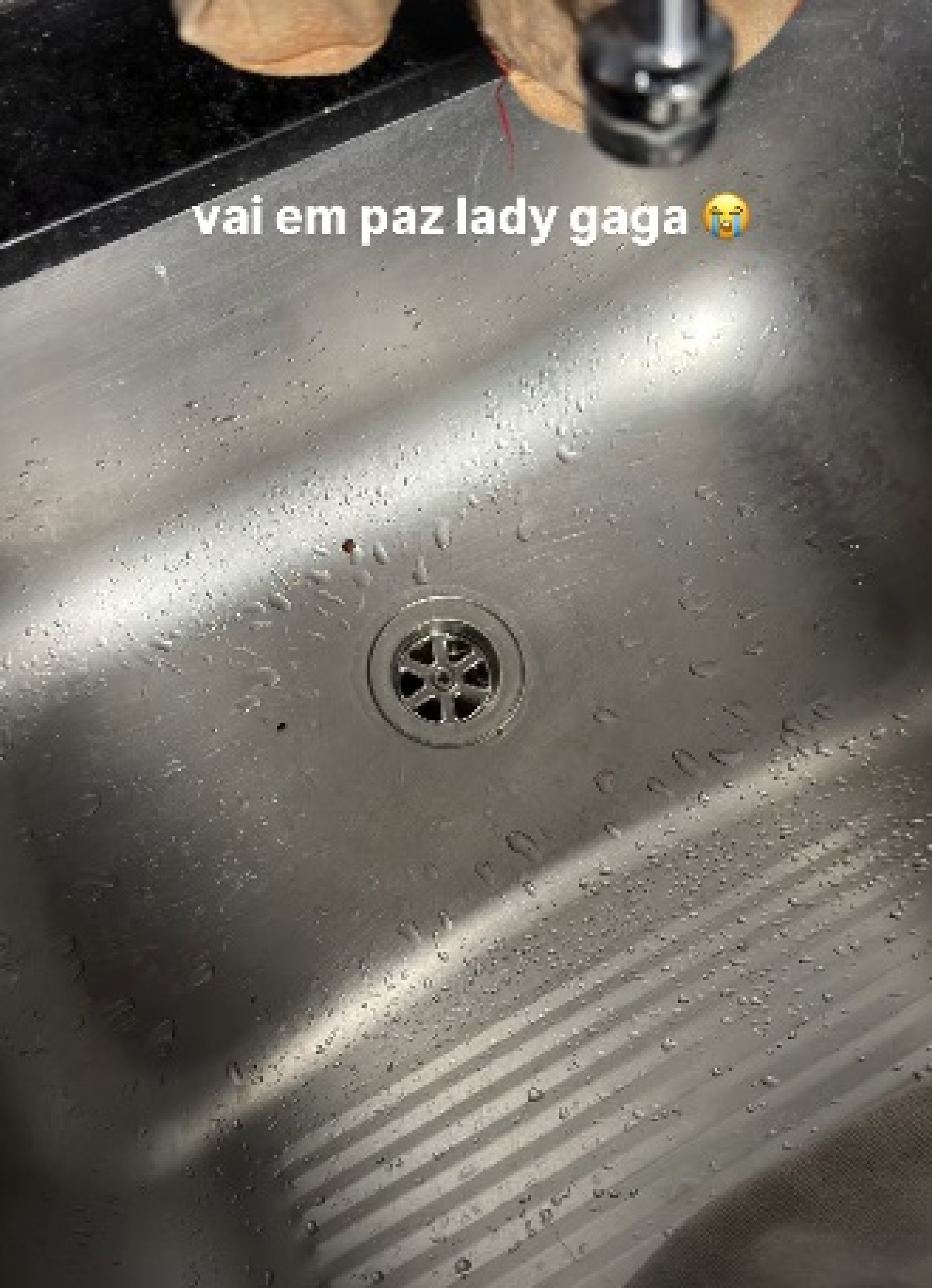 Alvaro mostrou pia em que peixe do irmão caiu  - Reprodução/Instagram 