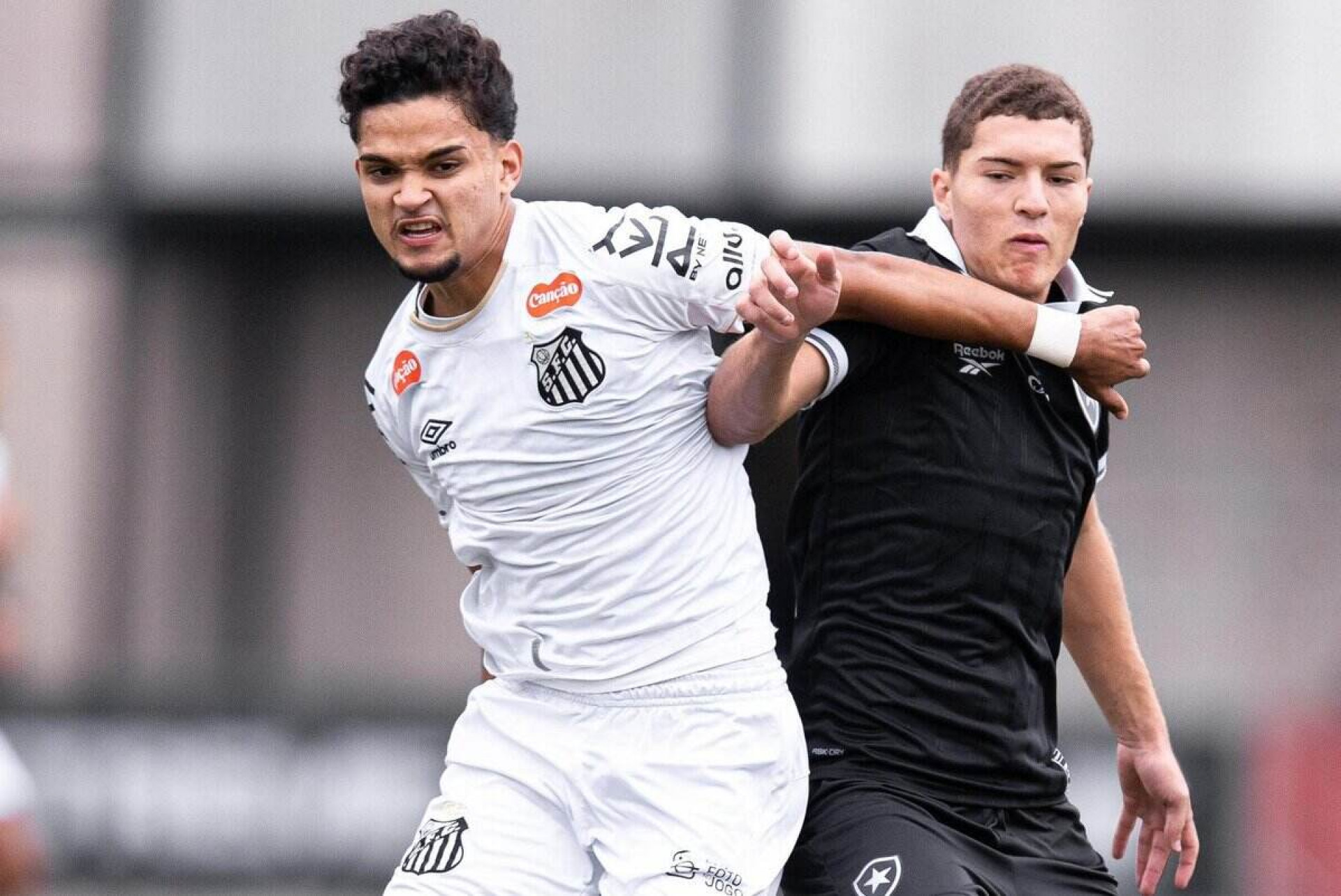 Botafogo x Crici&uacute;ma (Sub-20): onde assistir, escala&ccedil;&otilde;es e arbitragem