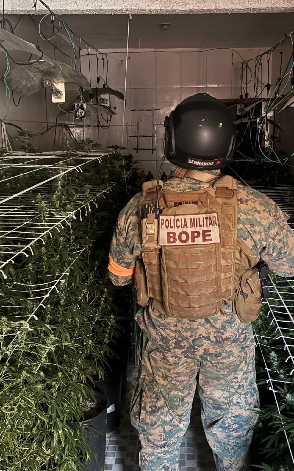 Estufa de drogas localizada pela PM durante operação na Maré - Divulgação