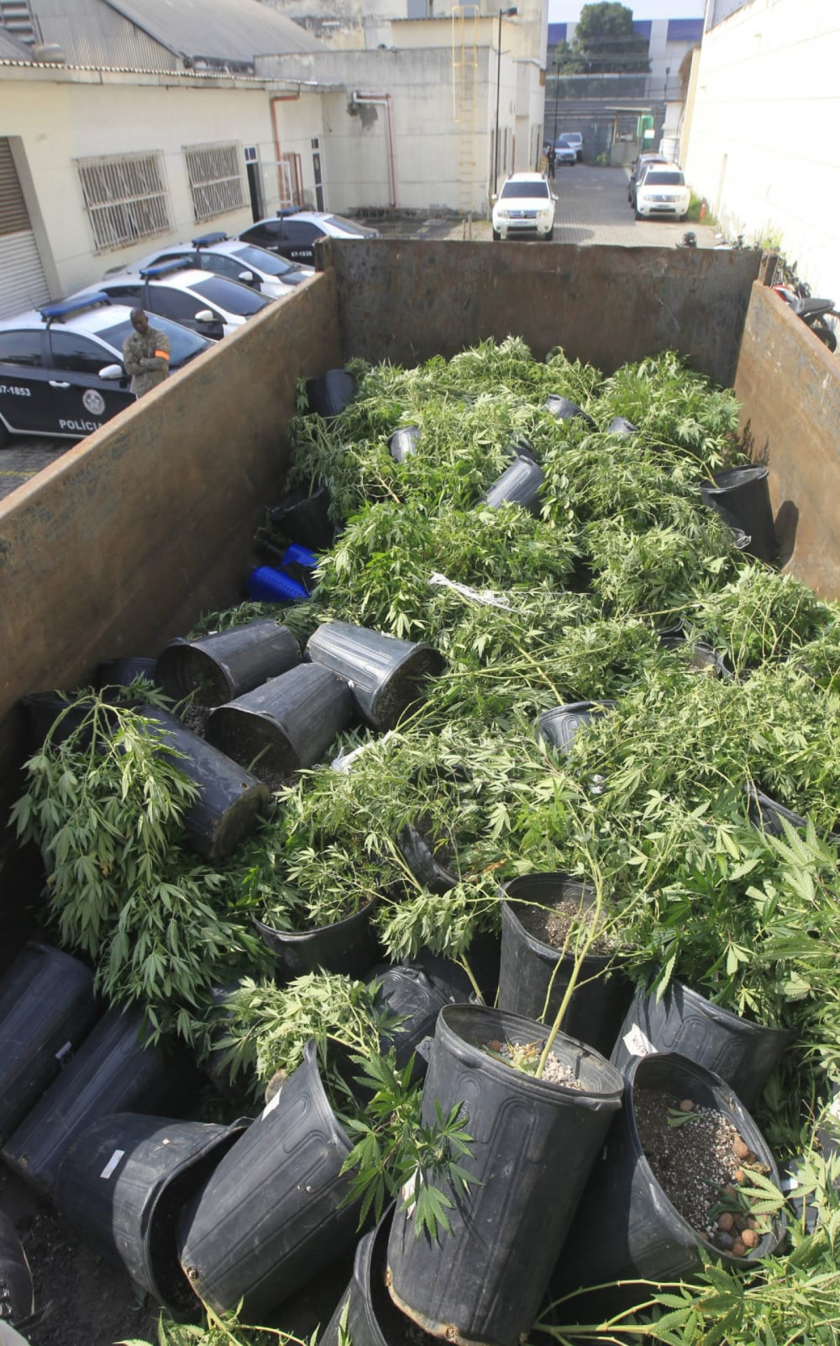 Caminhão da PM com 128 pés de maconha apreendidos na Maré - Reginaldo Pimenta/Agência O DIA