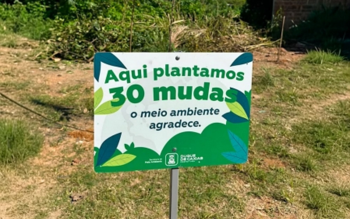 Caxias realiza plantio de mudas da Mata Atl&acirc;ntica em Xer&eacute;m - Divulga&ccedil;&atilde;o