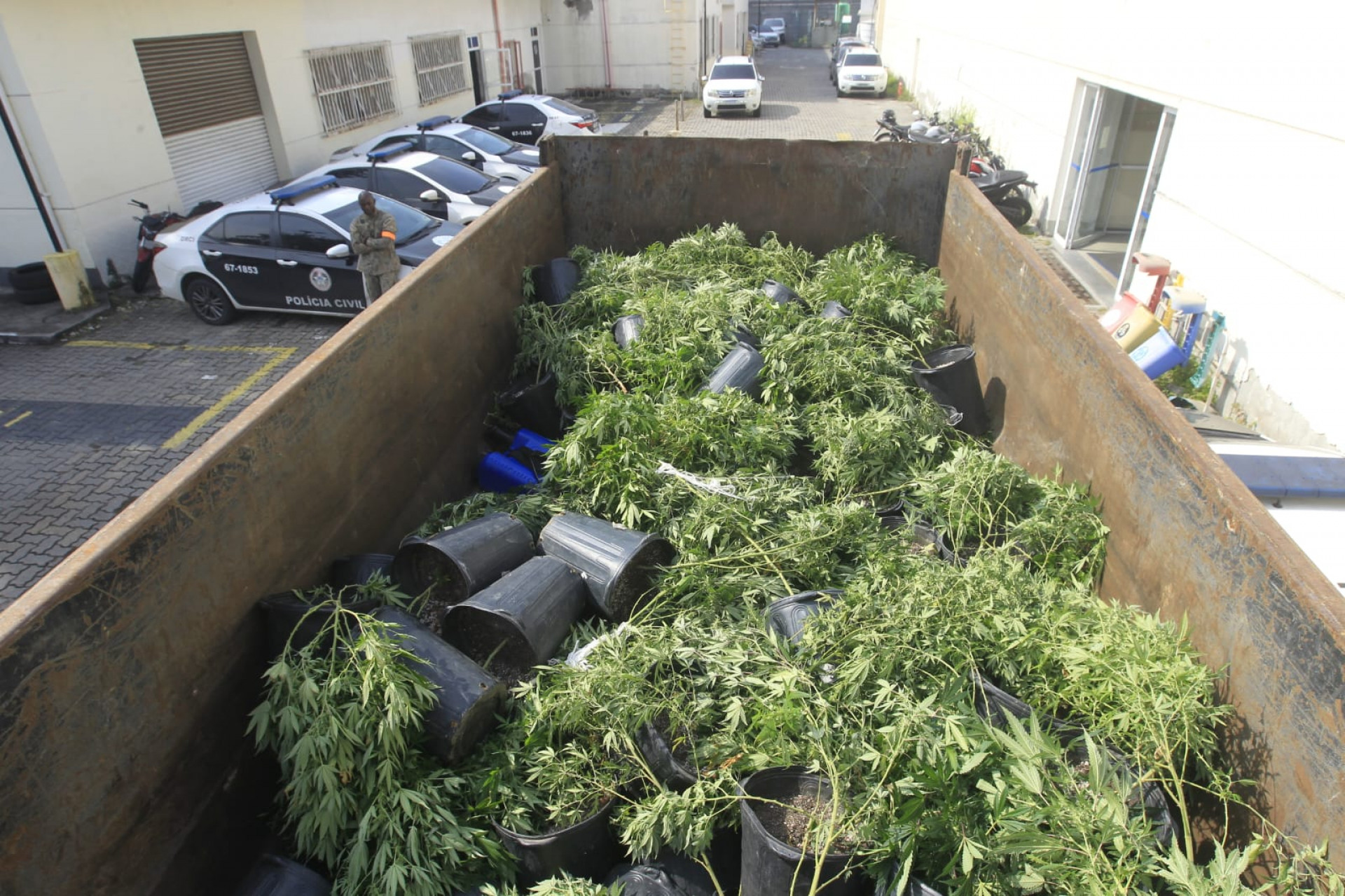 Caminhão da PM com 128 pés de maconha apreendidos na Maré - Reginaldo Pimenta/Agência O DIA